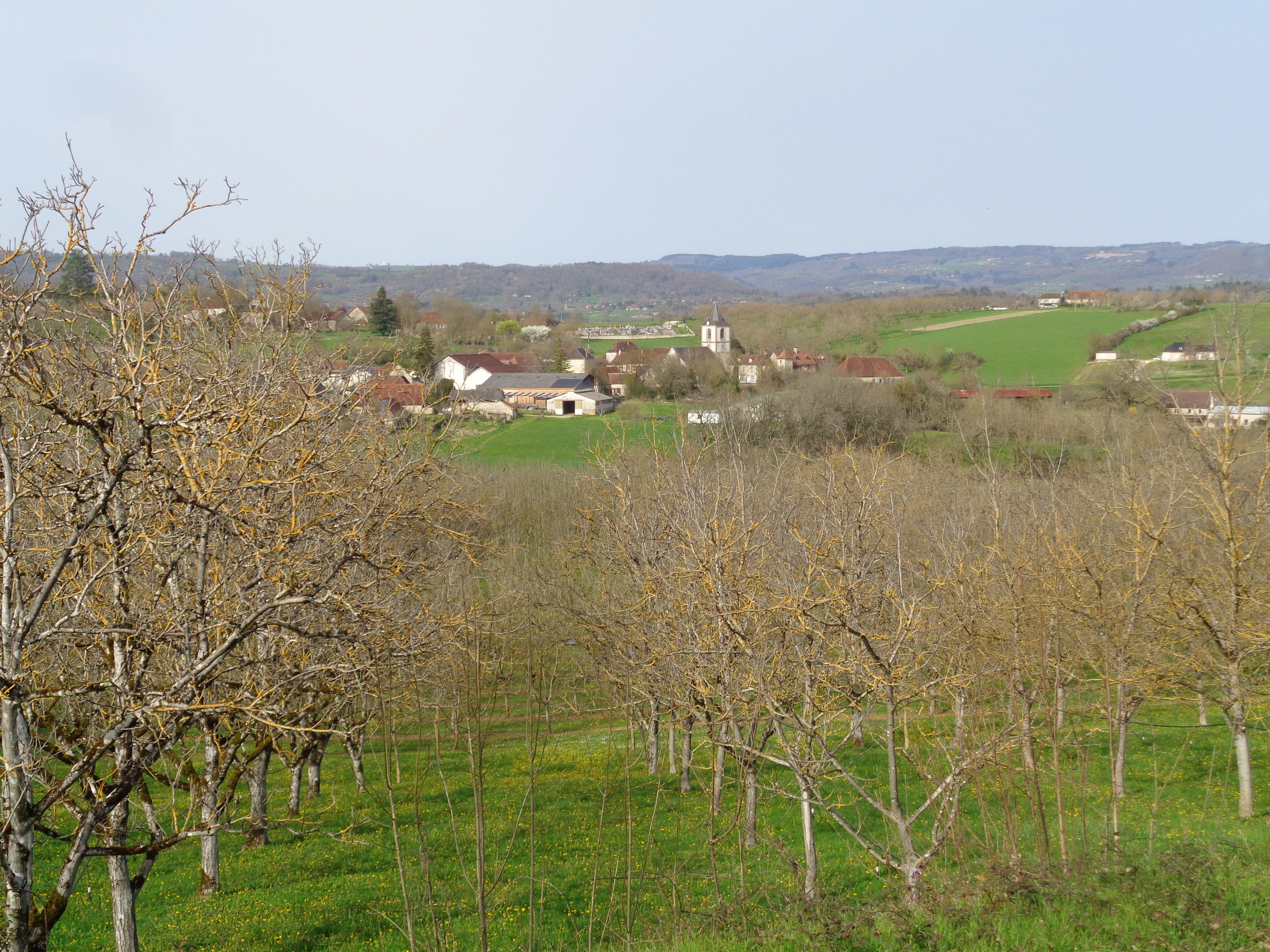 Autour du vignoble — photo 2