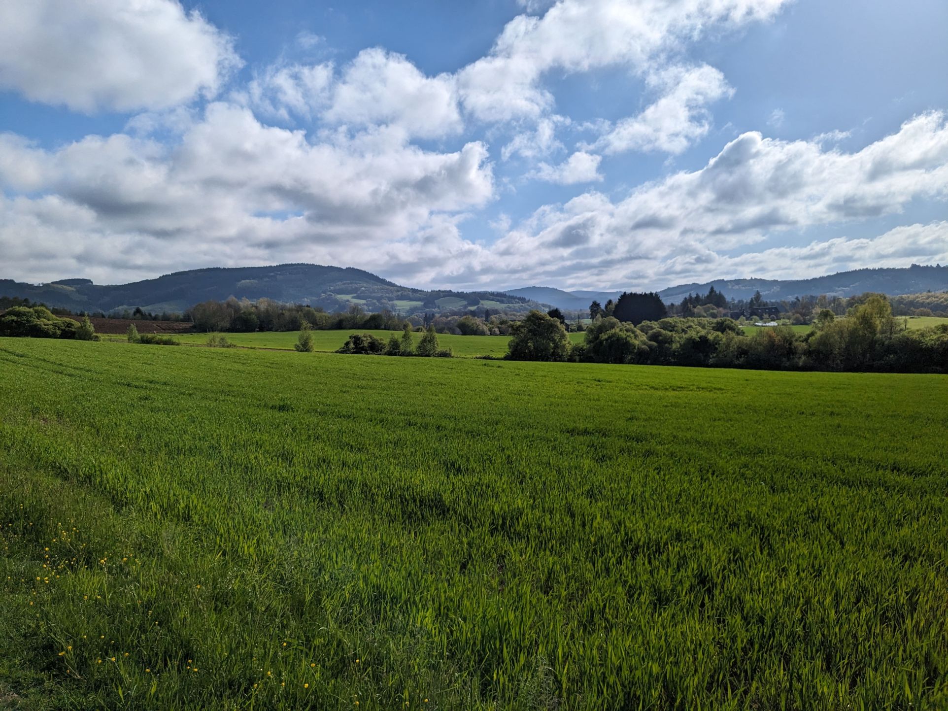 Trail des Roches de Scoeux — photo 2