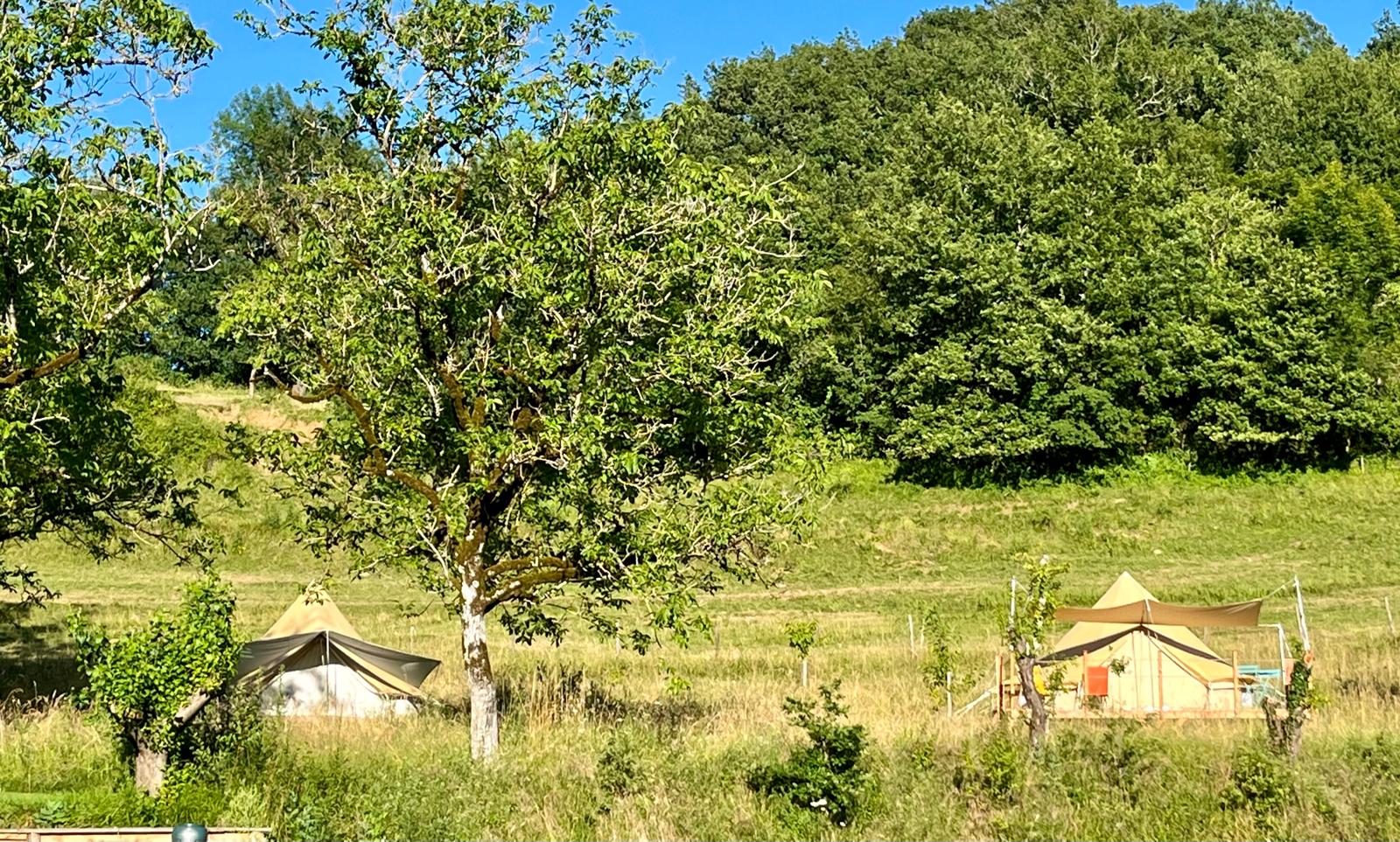 Le Vallon de Laborie, Astaillac - photo 6