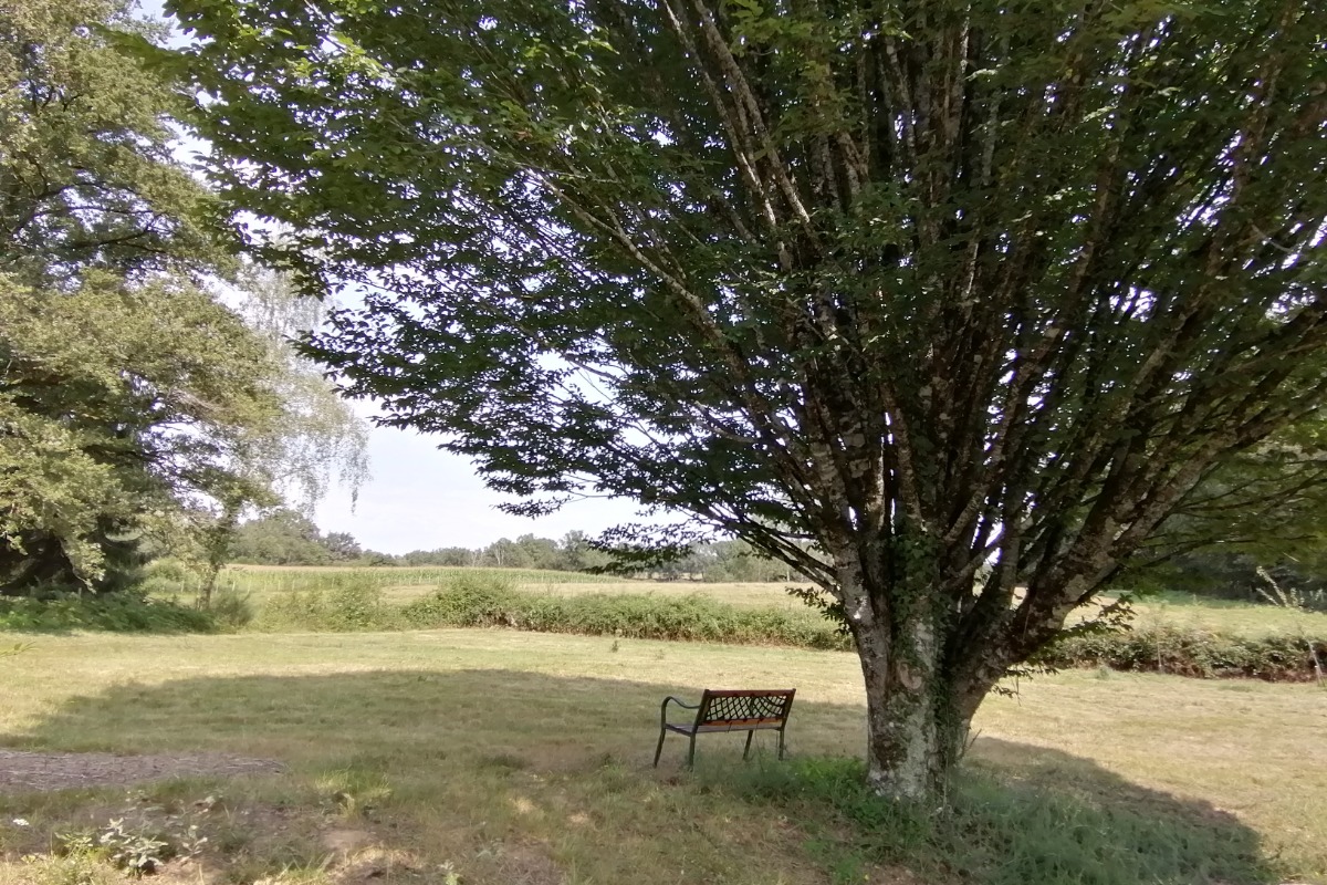 Le Gîte du Parc, La Coquille - photo 7