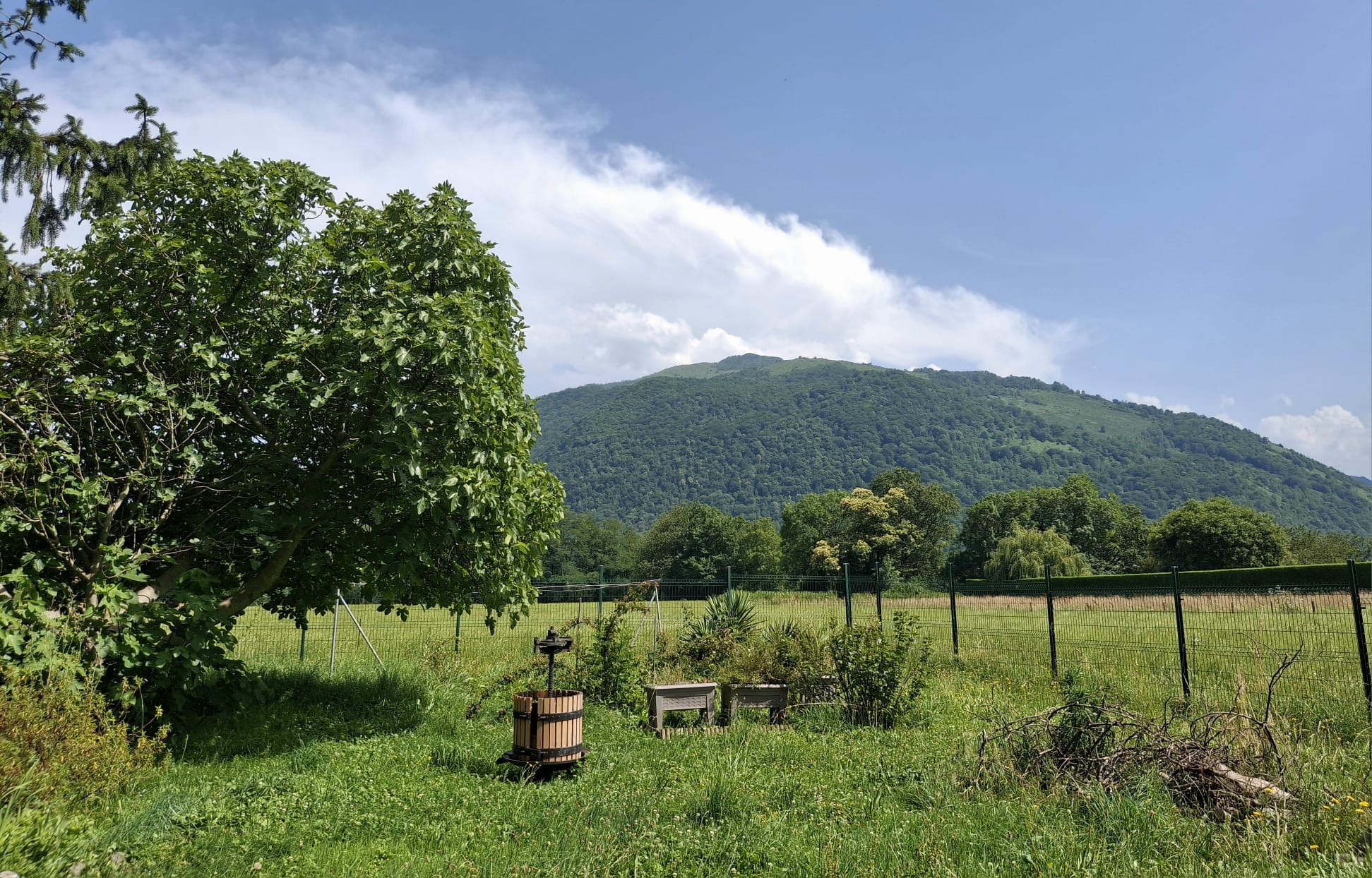 Les Pasots, Asasp-Arros - photo 5