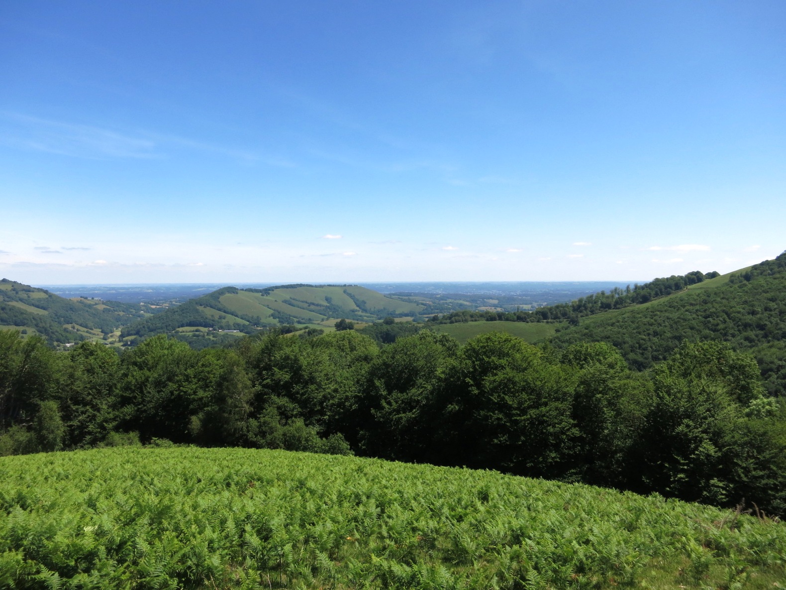 N°7 Barétous - Bois de Gouloume, Aramits - photo 17
