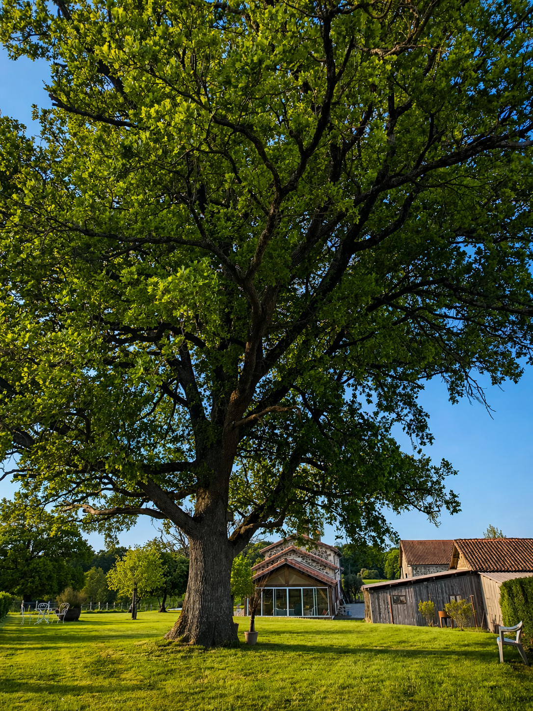 Le grand gîte, Peyrat-de-Bellac - photo 6