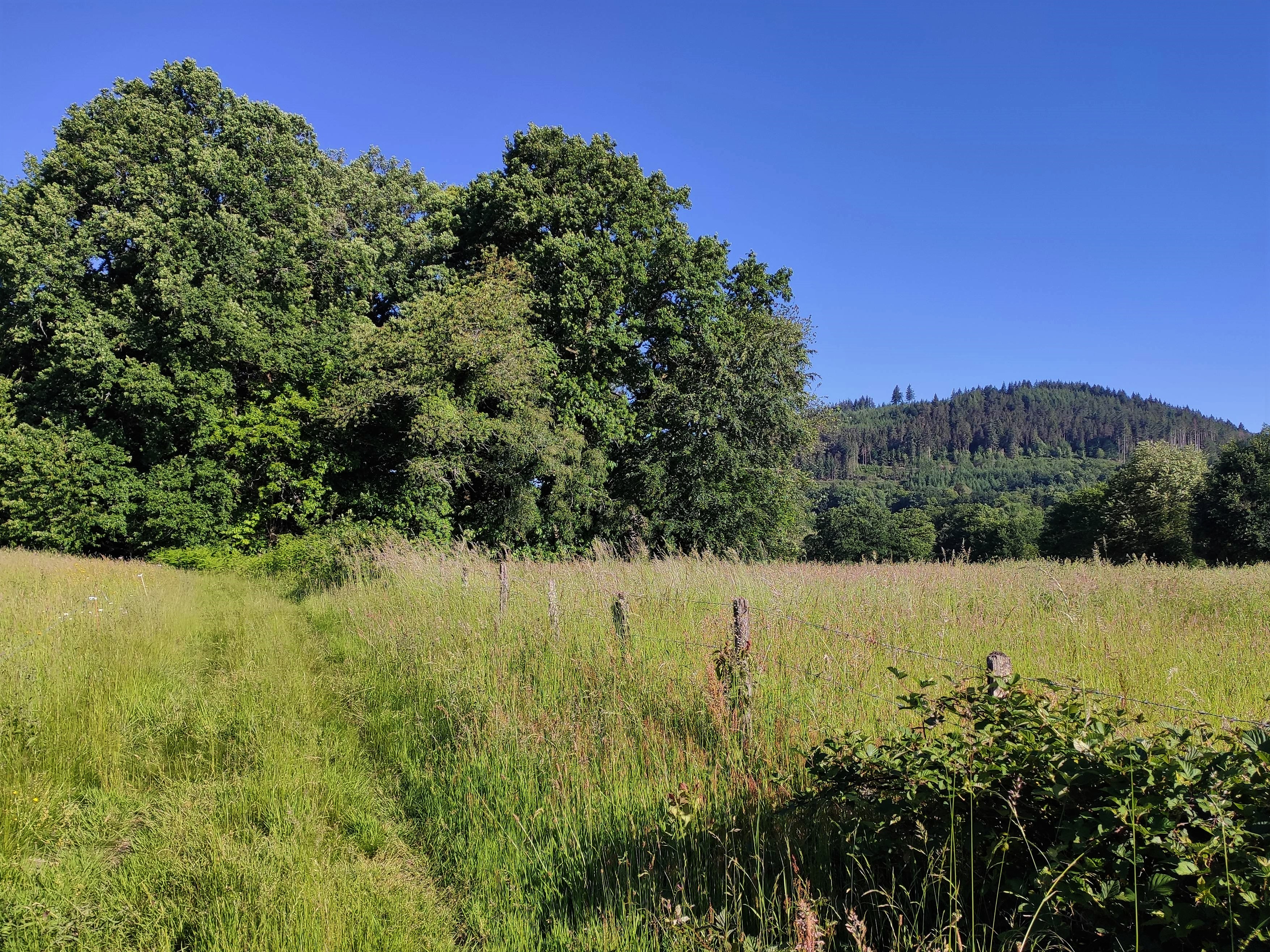 Circuit de Saint-Julien, Saint-Julien-le-Petit - photo 2
