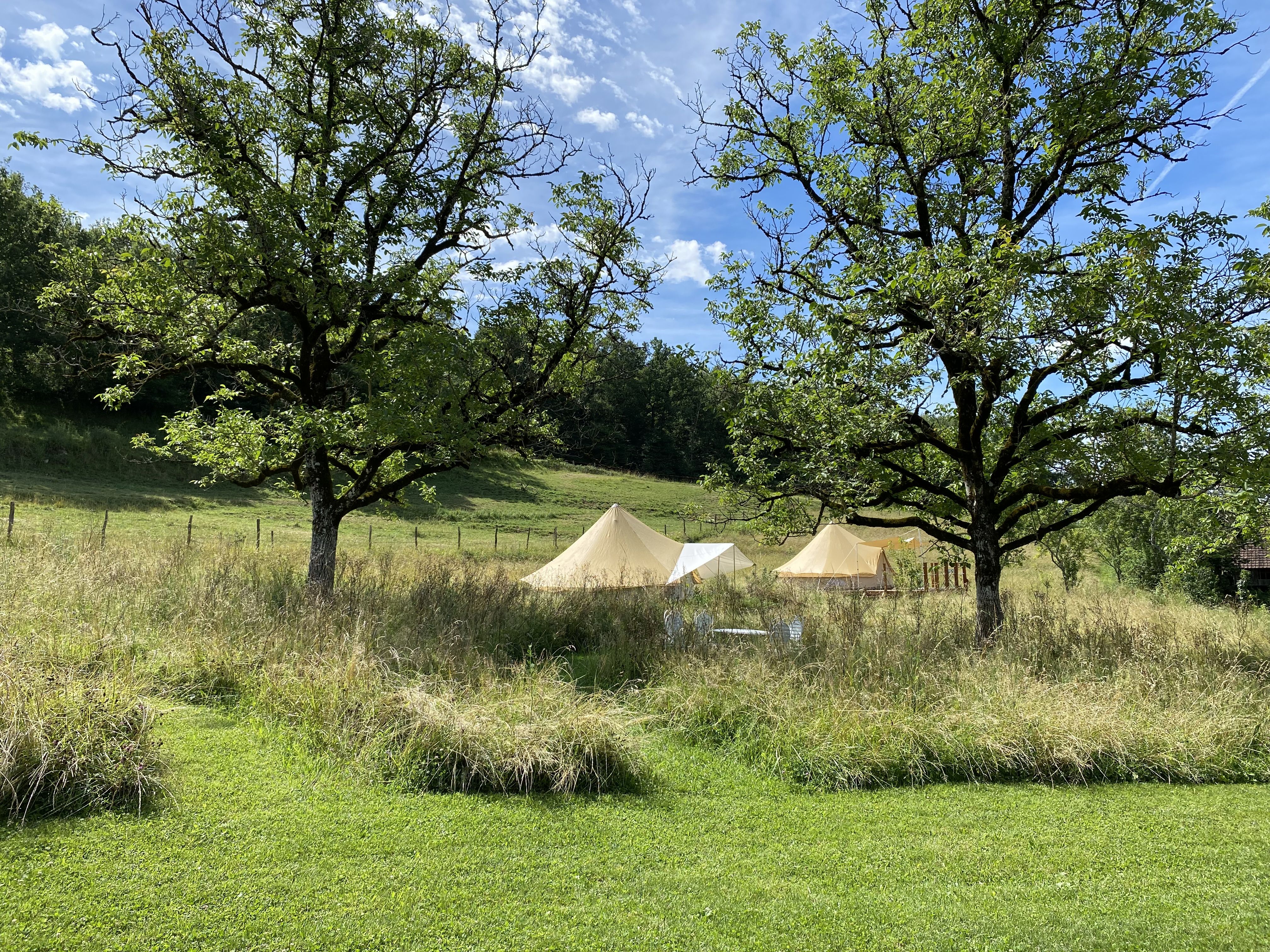 Le Vallon de Laborie, Astaillac - photo 11