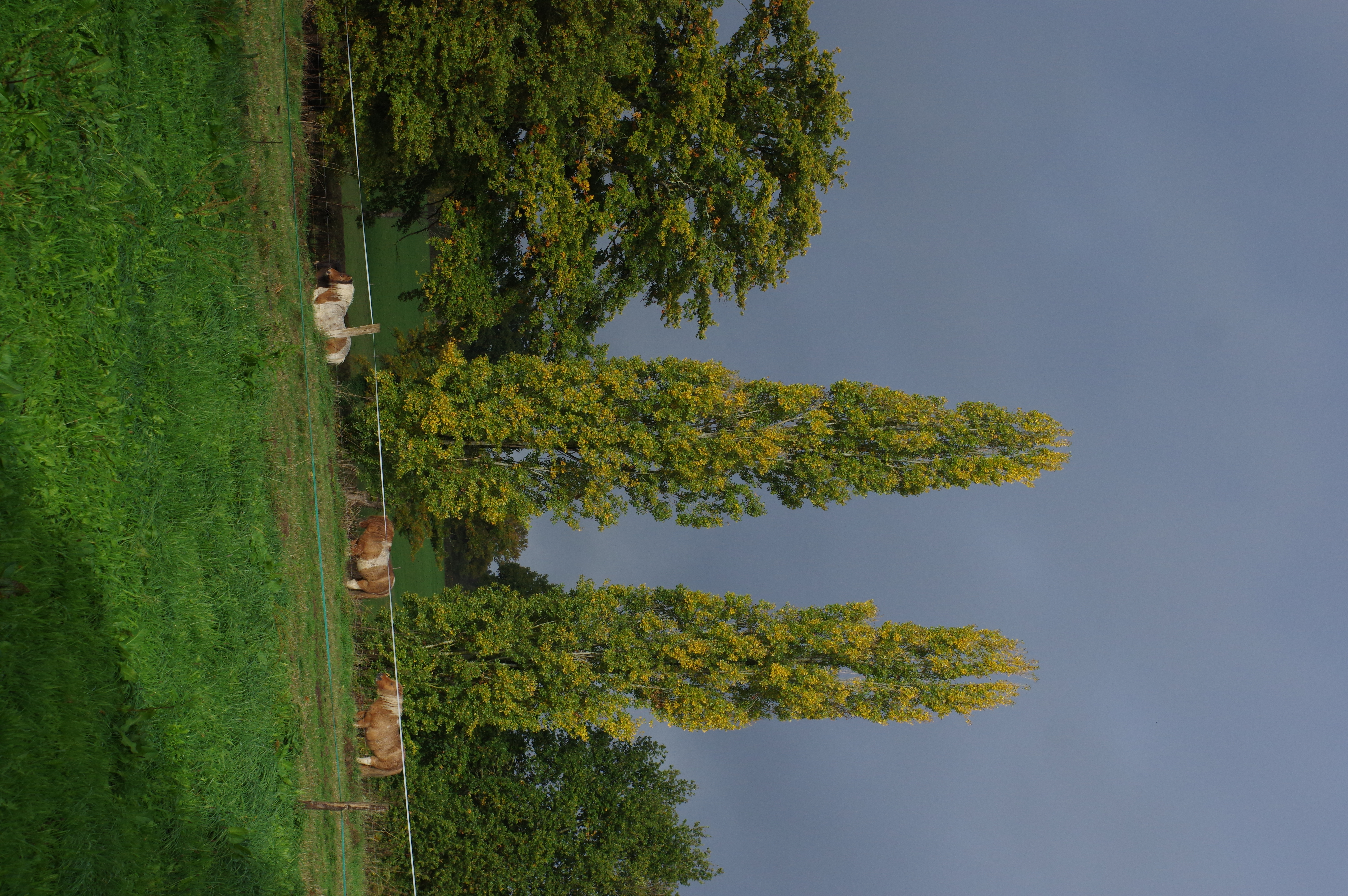 Château d'Ecosse, Bétête - photo 2