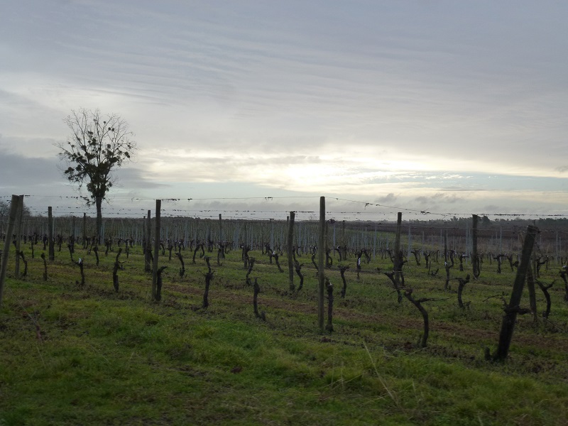 Boucle de Marcillac, Val-de-Livenne
