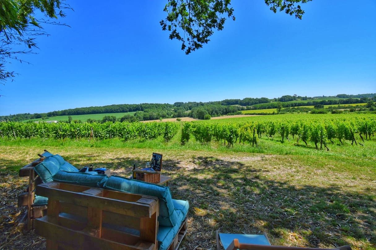 Pique-nique dans les vignes au Château Hostens-Picant, Les Lèves-et-Thoumeyragues - photo 4