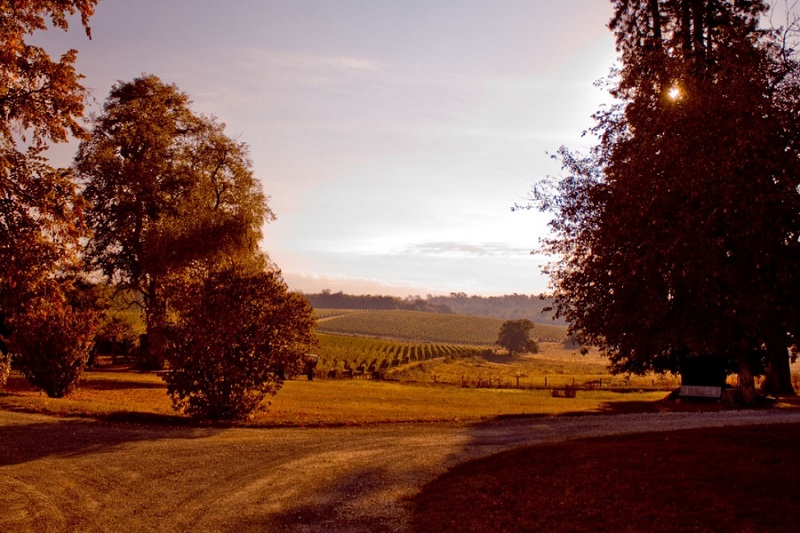 Château Sainte-Marie - photo 4