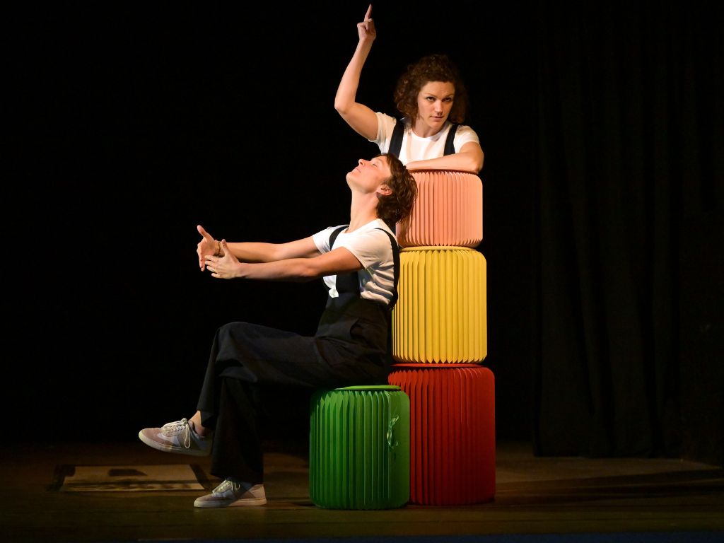 Festimai |Mme Bovary en plus drôle et moins long