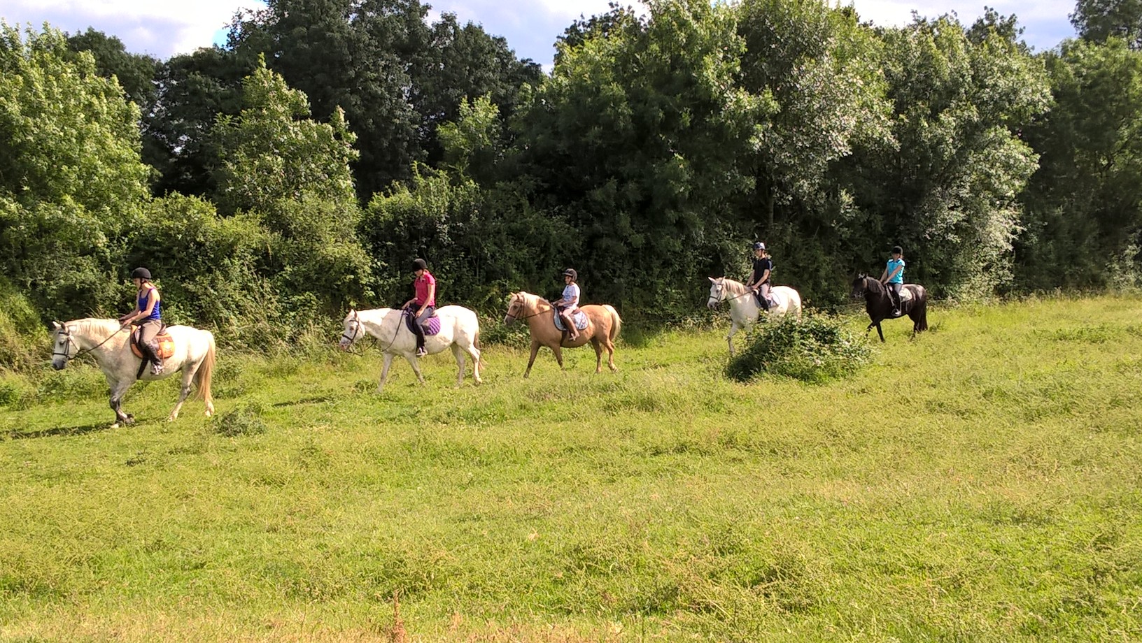 Club hippique Argentonnais, Genneton - photo 4