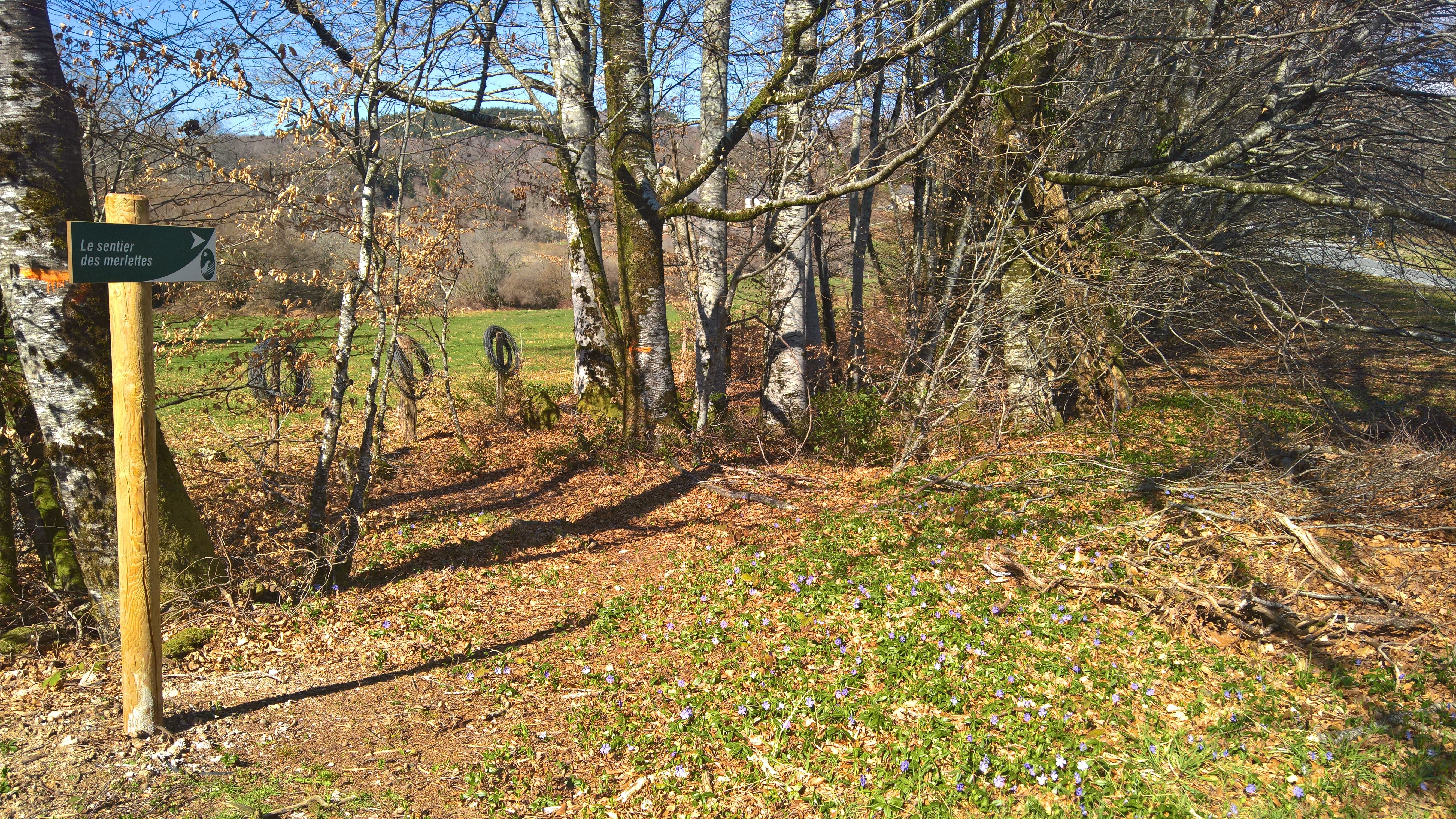 Sentier d'interprétation des Merlettes
