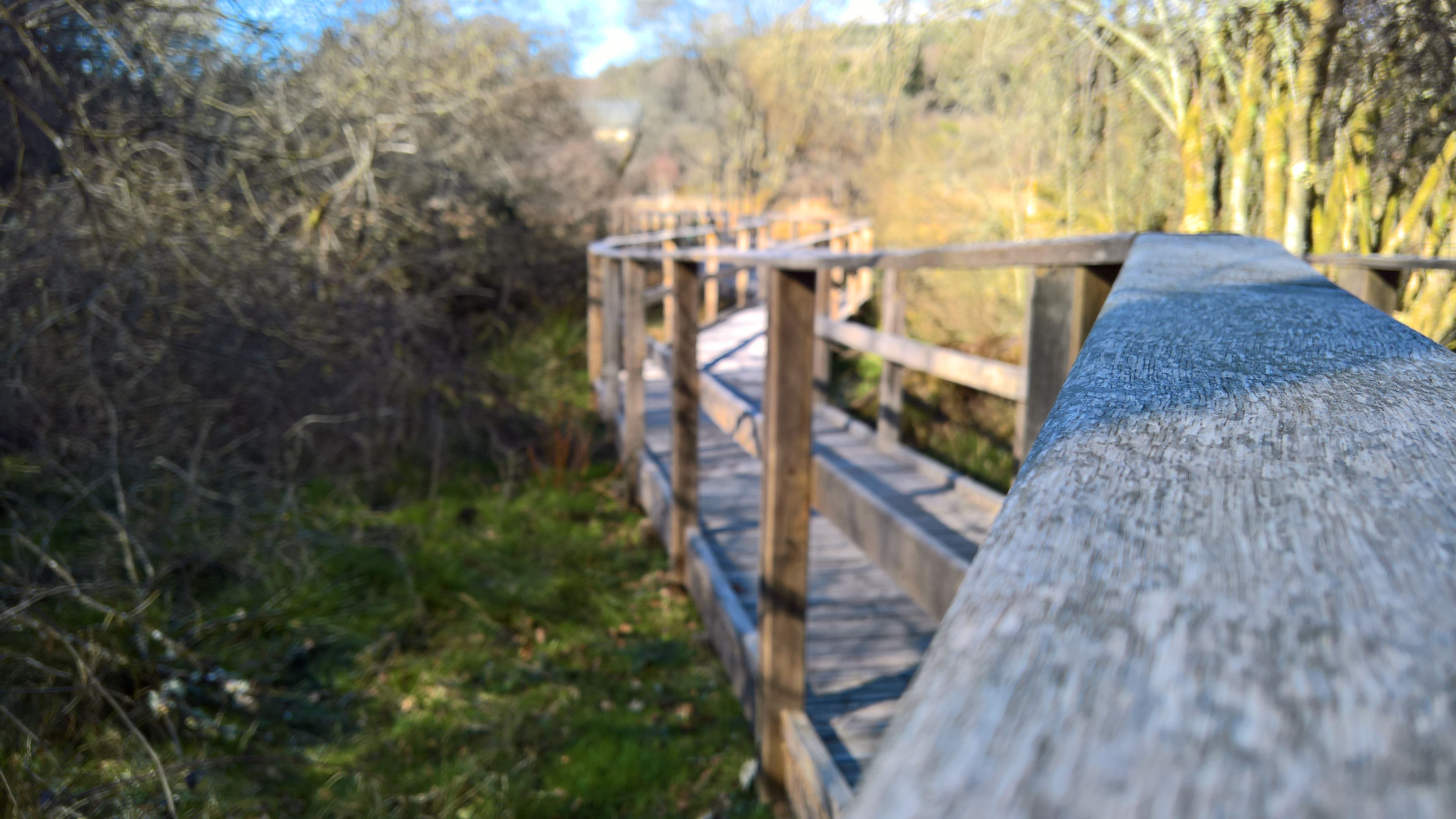 Sentier d'interprétation des Merlettes, Saint-Hilaire-les-Courbes - photo 3