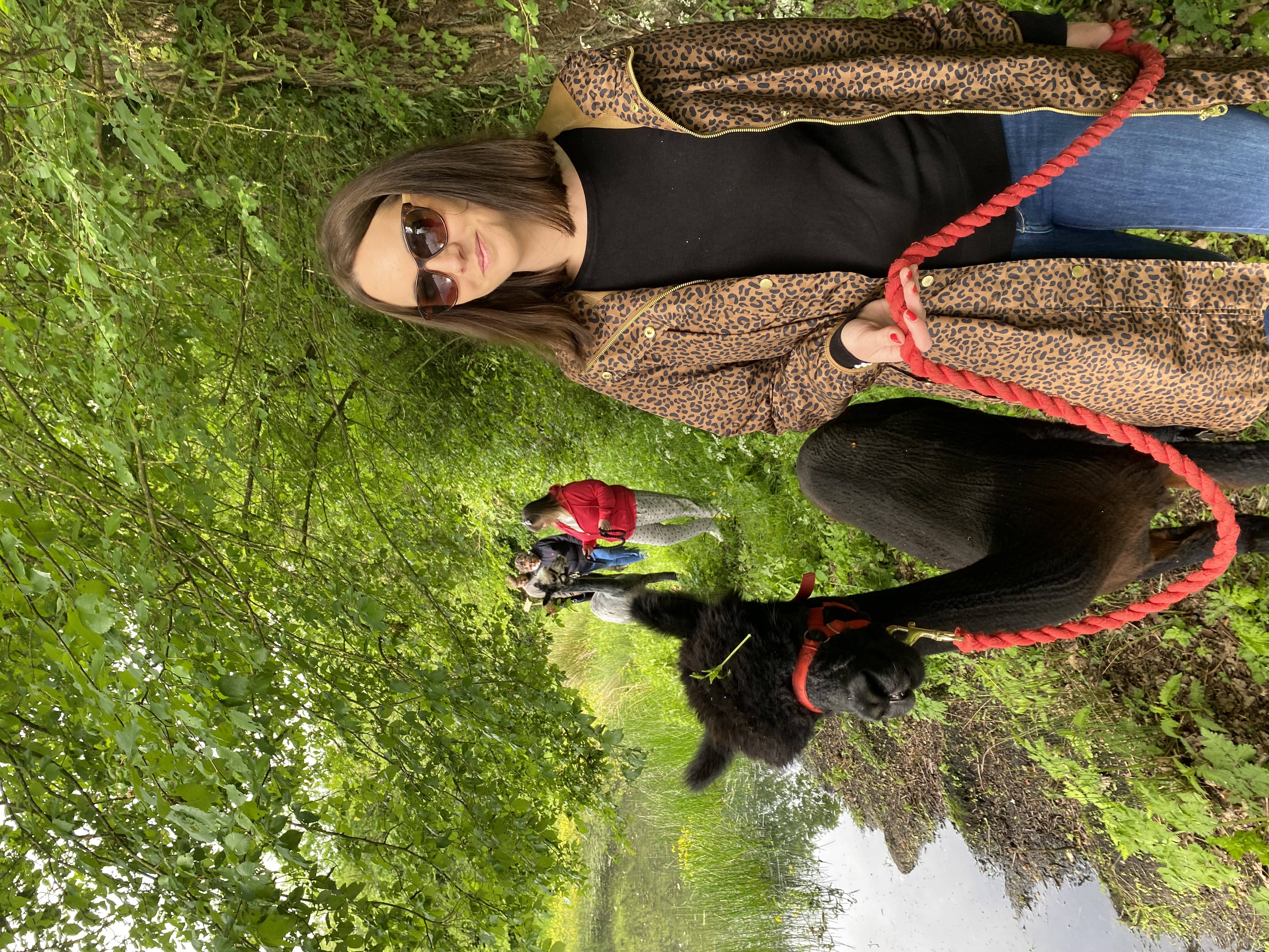 La Petite Ferme d'Alpagas Sanzay, Argentonnay - photo 4