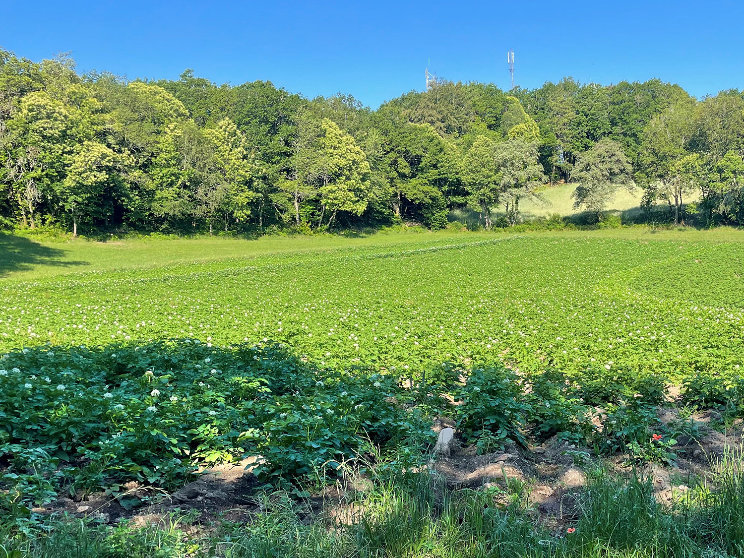 Ferme La Courrière — photo 2