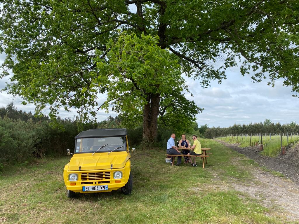 Balade en Méhari-Jeep dans les vignes - photo 2