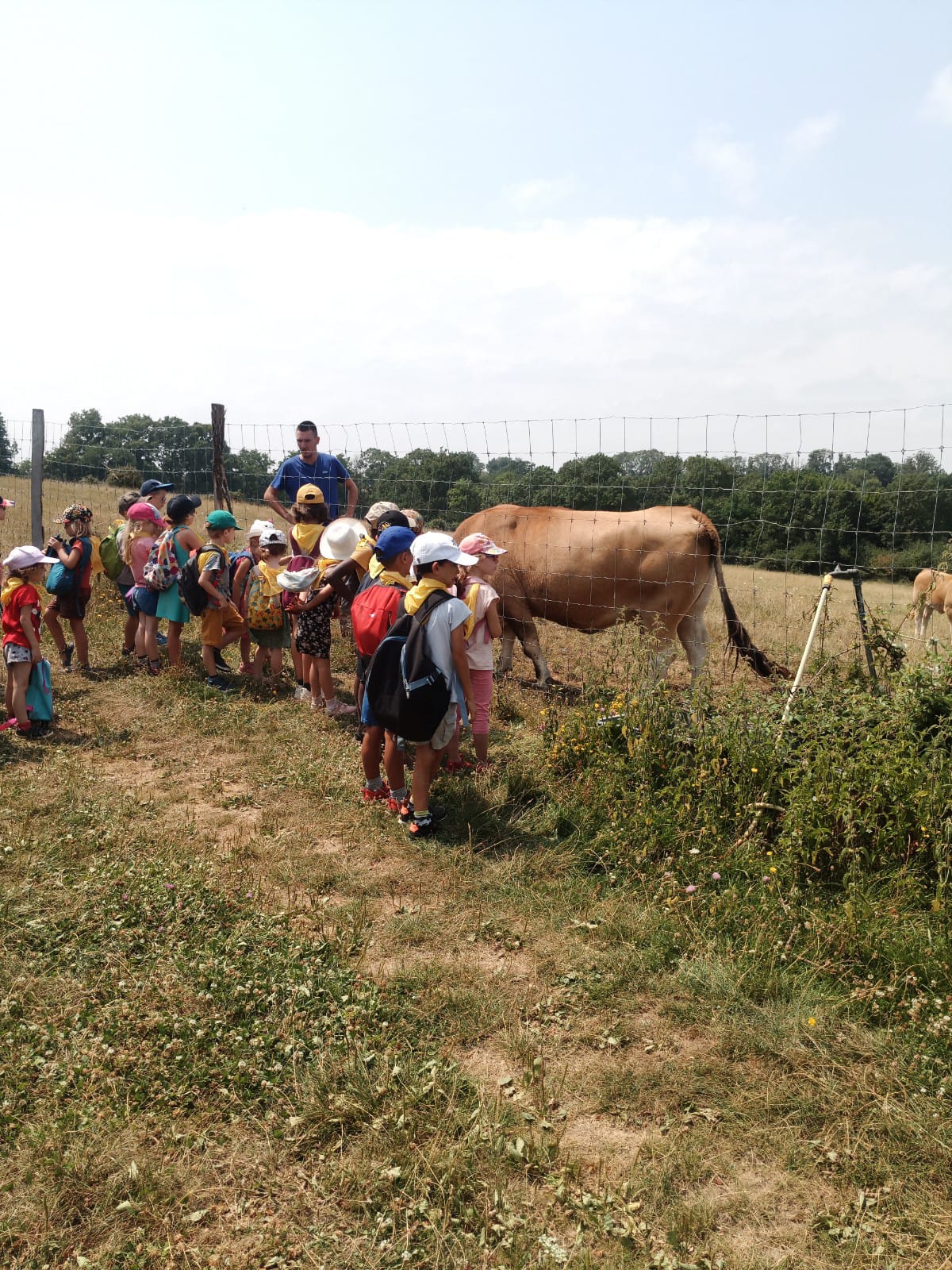 La Vallée des Cerfs, Luchapt - photo 2