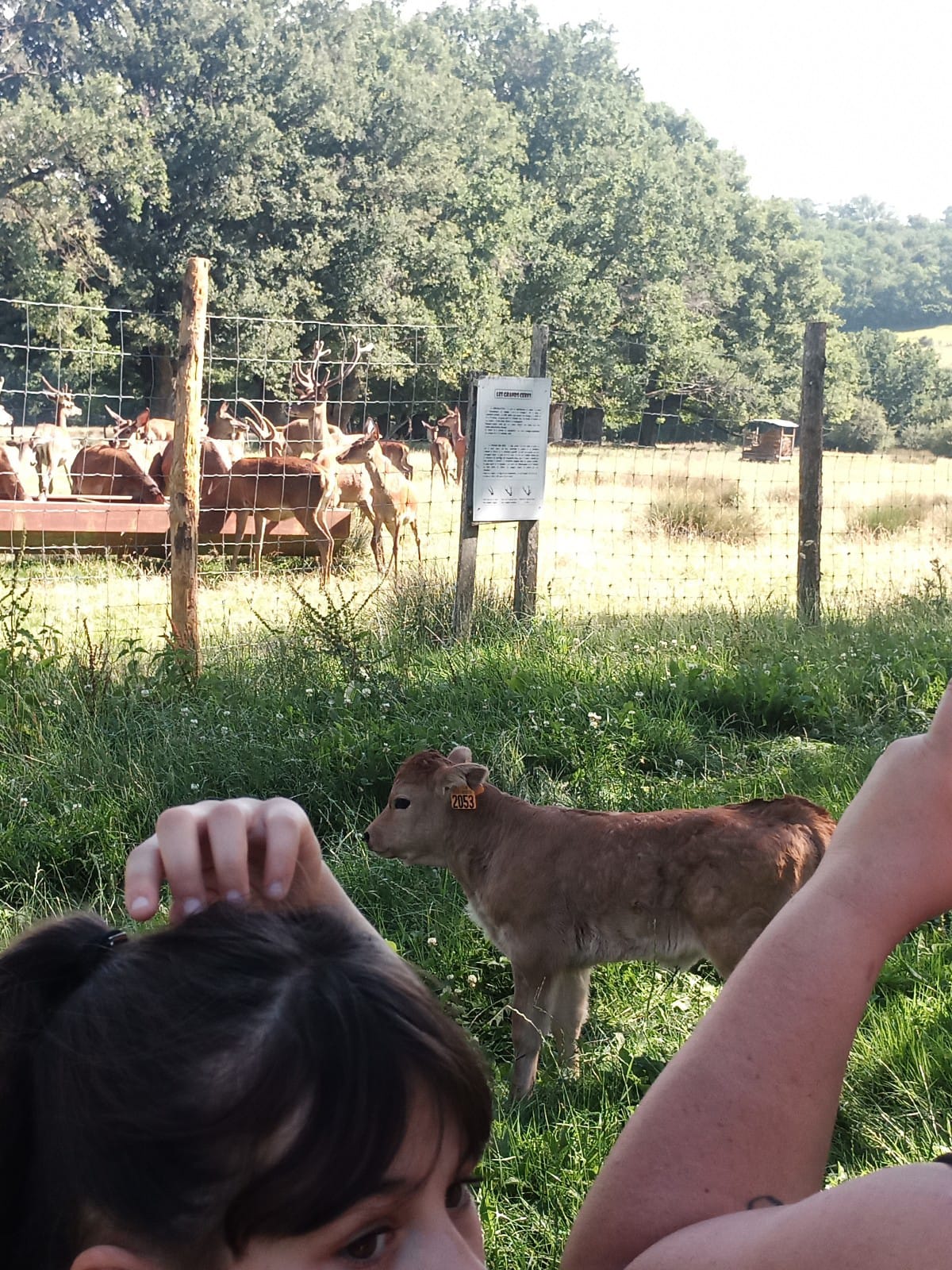 La Vallée des Cerfs, Luchapt - photo 4