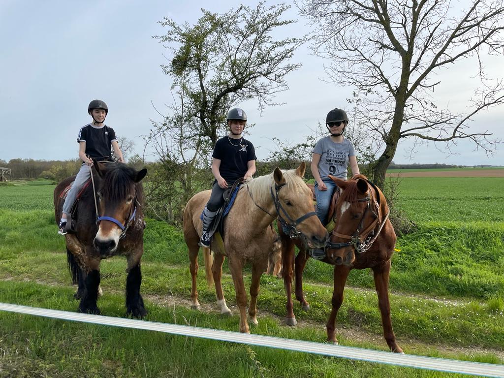 Au pré discis - photo 2