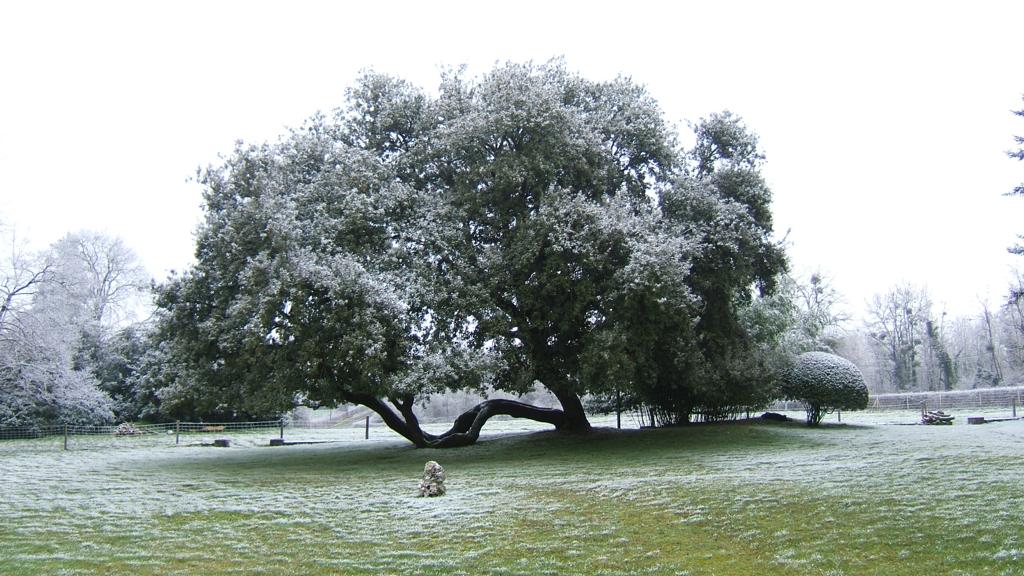 Maisonneuve, Leigné-les-Bois - photo 9