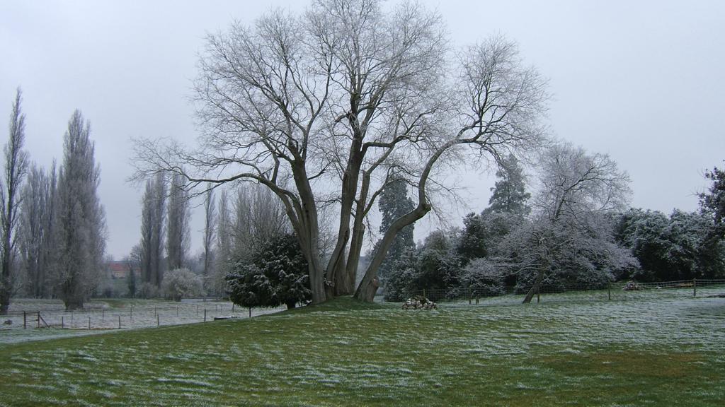 Maisonneuve, Leigné-les-Bois - photo 8