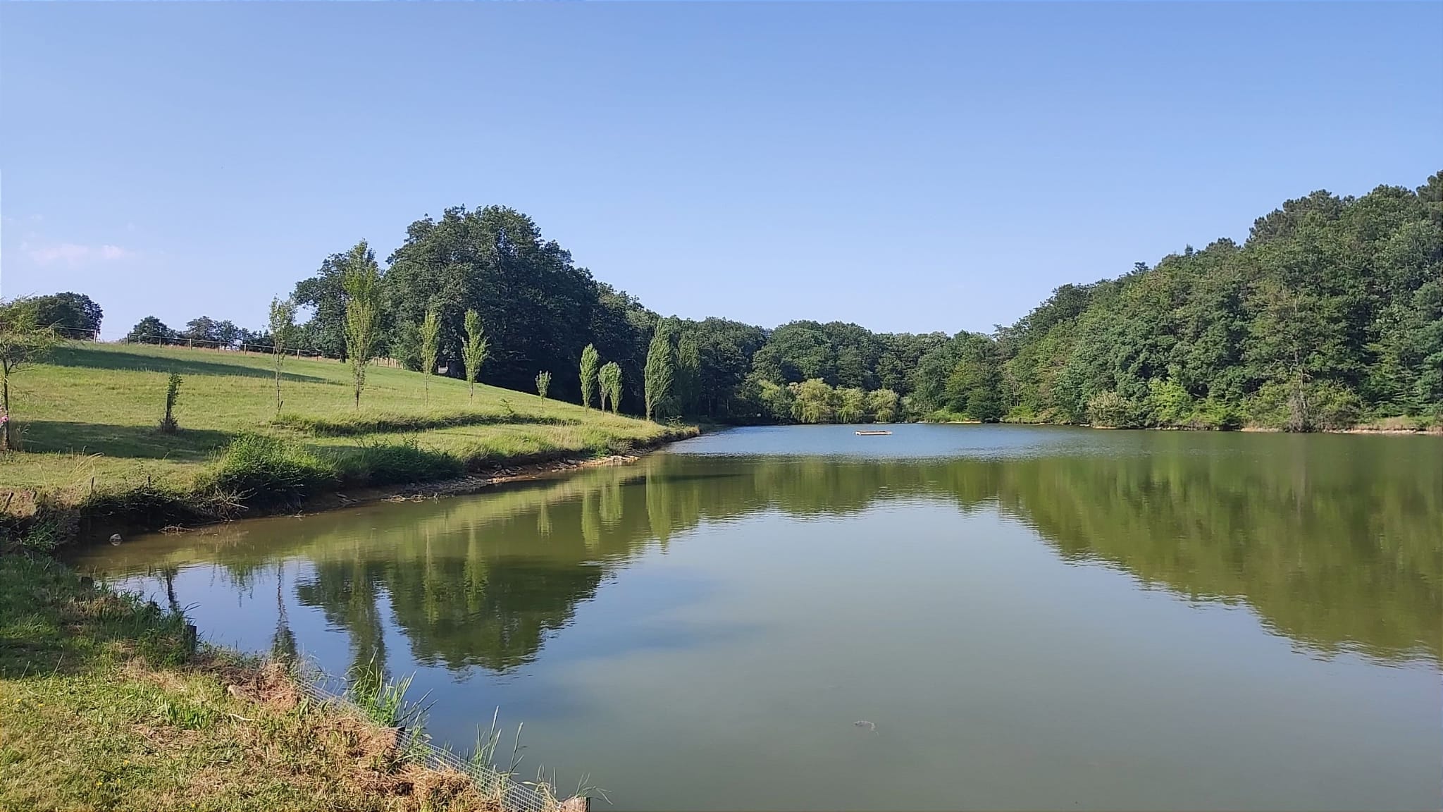 Domaine des Petites Minaudières, Senillé-Saint-Sauveur - photo 6