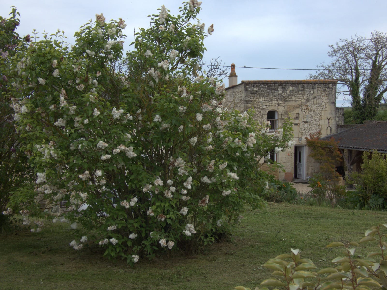 L'Instant Détente, Saint-Léger-de-Montbrillais - photo 7