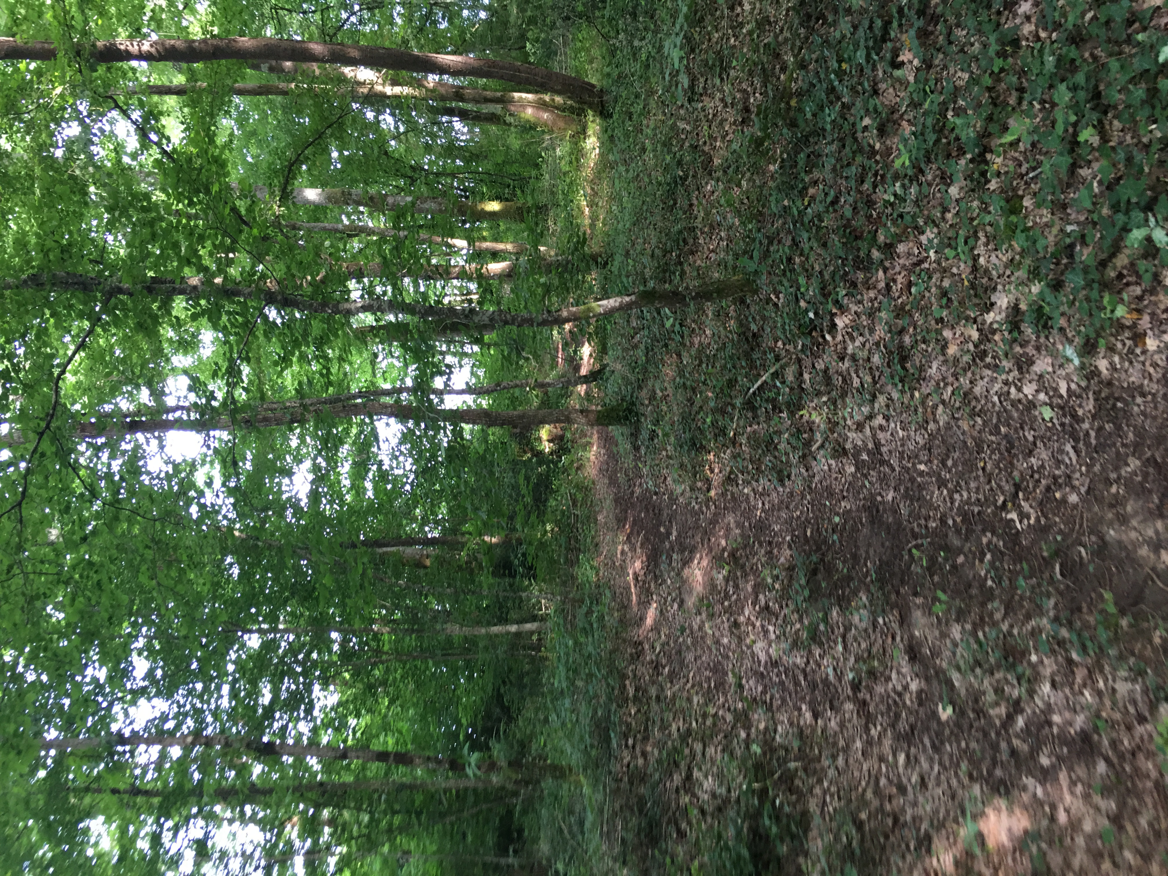 Dom Peyreton Gîtes de Prestige, Villegouge - photo 19