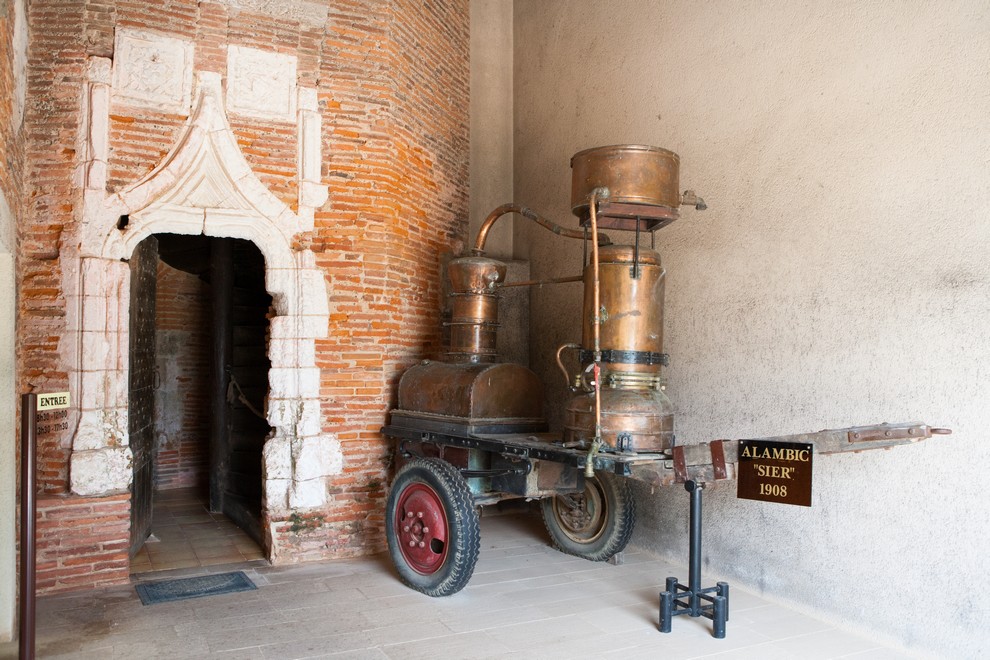 Domaine Départemental d'Ognoas, Arthez-d'Armagnac - photo 2