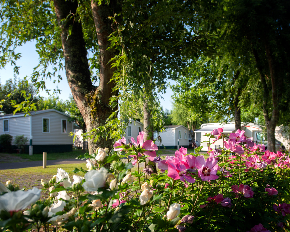 Camping Le Bascat - photo 5