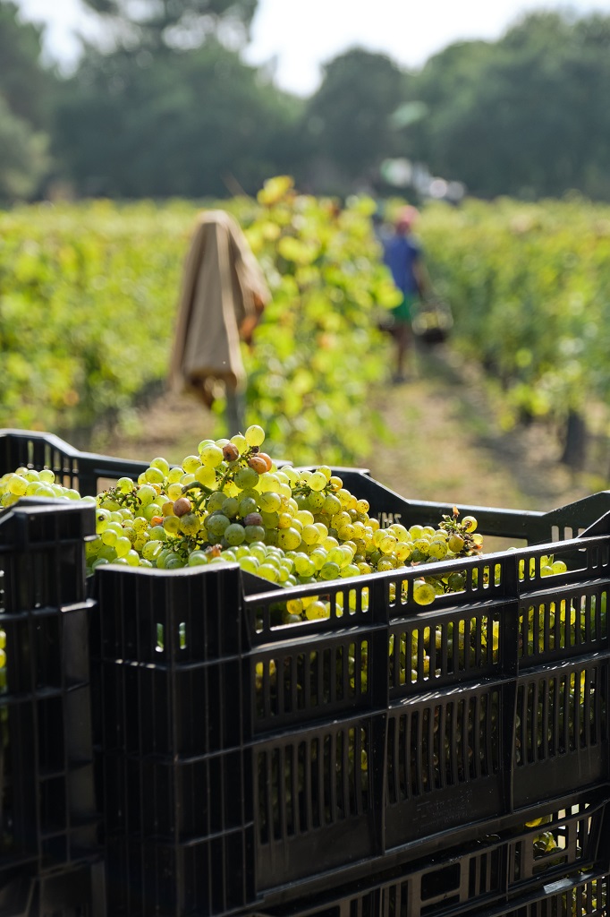 Domaine de la Pointe - photo 3