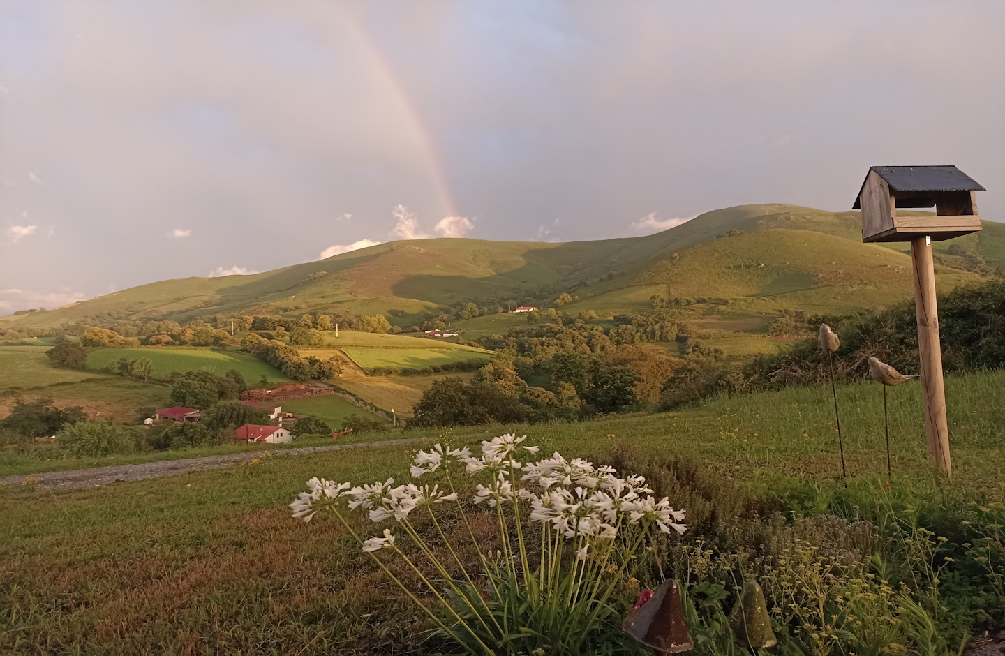 Xuhiko Borda, Hasparren - photo 3