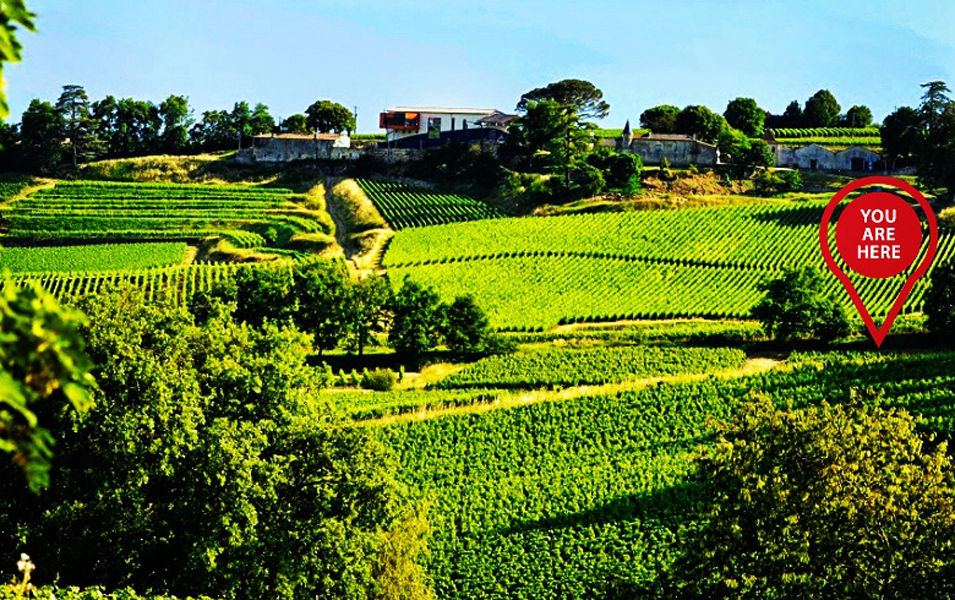 TourOchâteaux Wine Tours & Travel / Harley-Davidson — photo 3