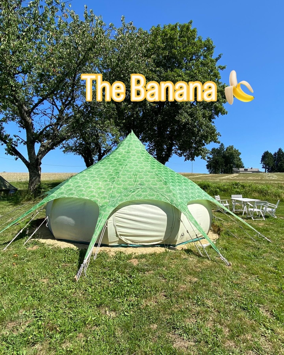 La Ferme des Lamas, Saint-Cyr-les-Champagnes - photo 8