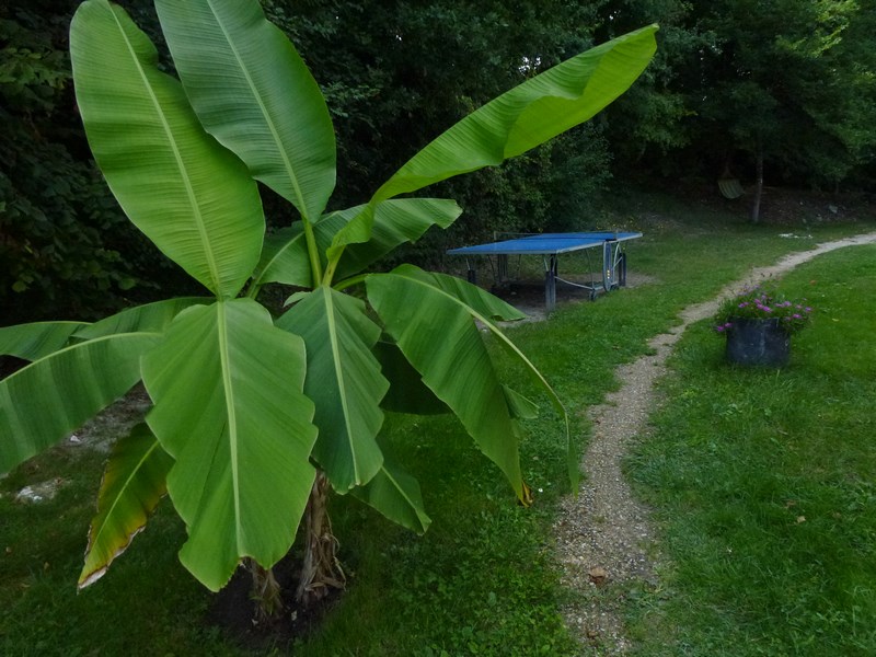 La Yourte du Sud-Ouest - La Bella Rocoma, Lougratte - photo 14