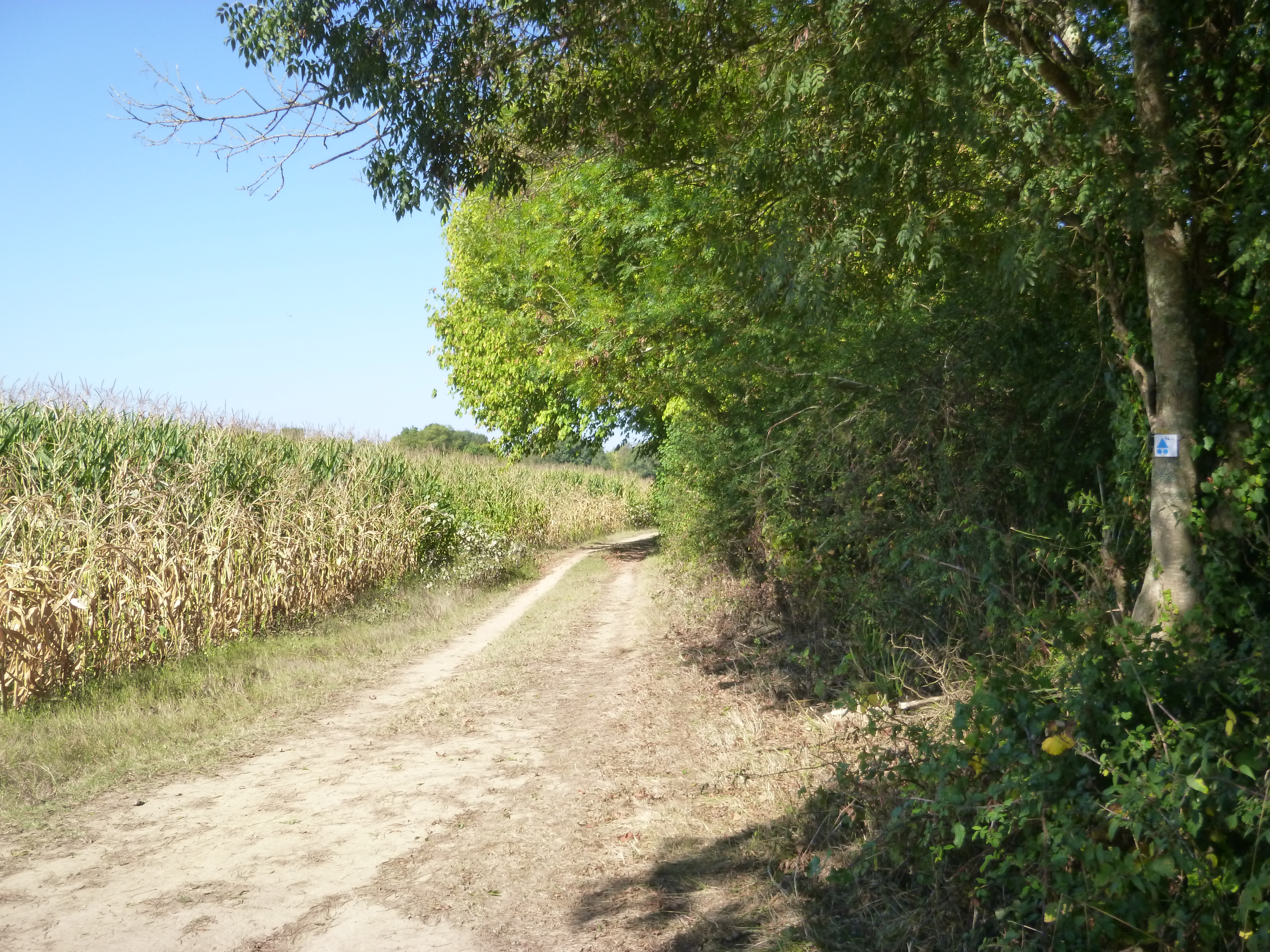 Sentier de l'Adour, de Dax à Saint-Vincent-de-Paul — photo 2