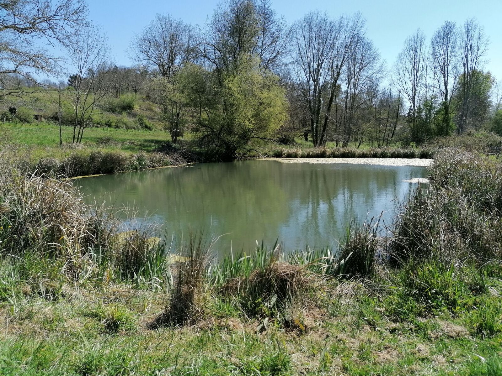 Zone Humide du Lavoir Du Gau, Saint-Vincent-de-Connezac - photo 4