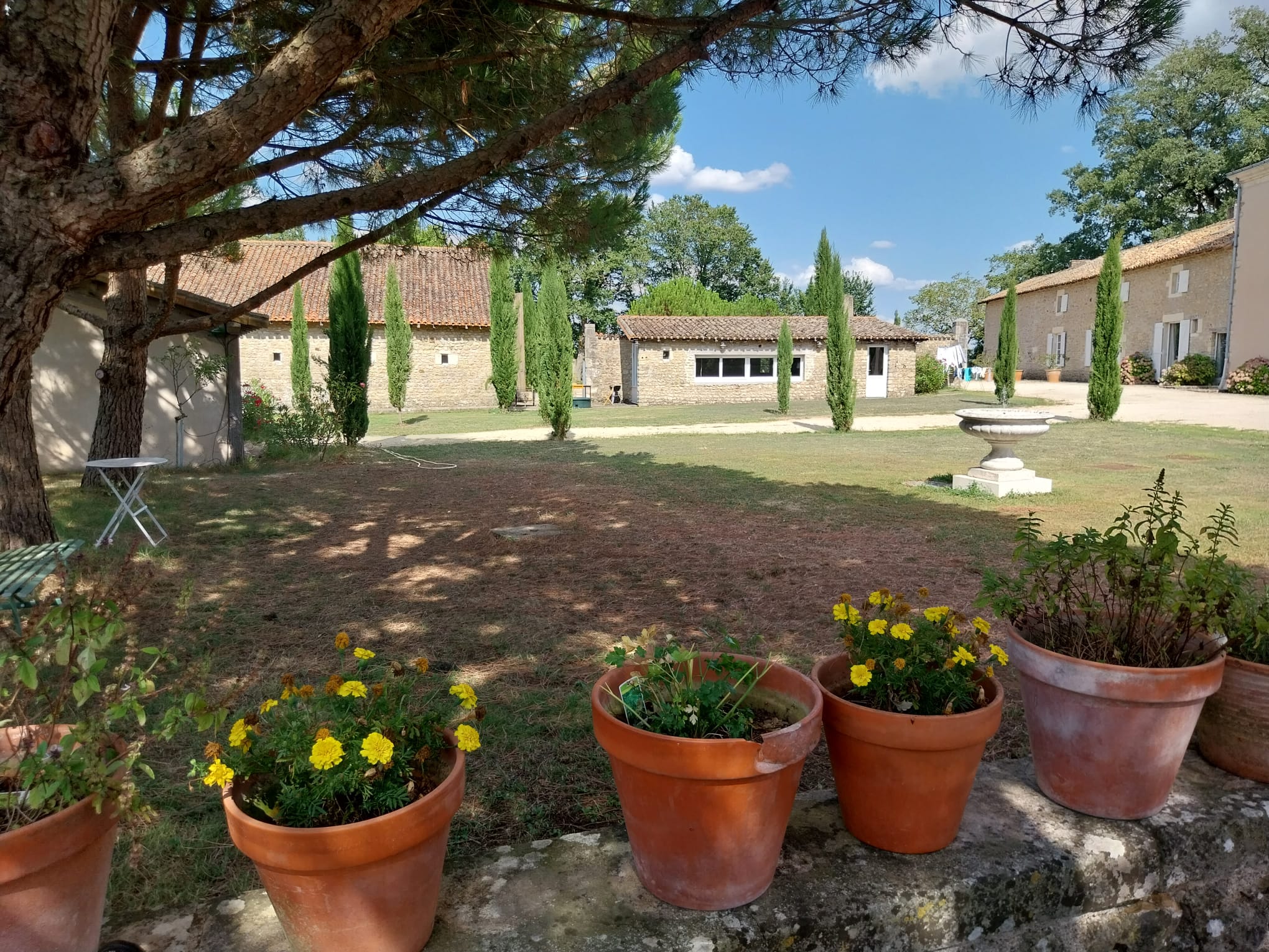 Domaine d'Ancia, Anché - photo 14