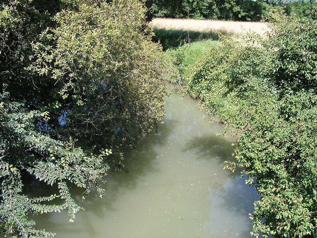 Boucle de Roquepine - Saint Radegonde