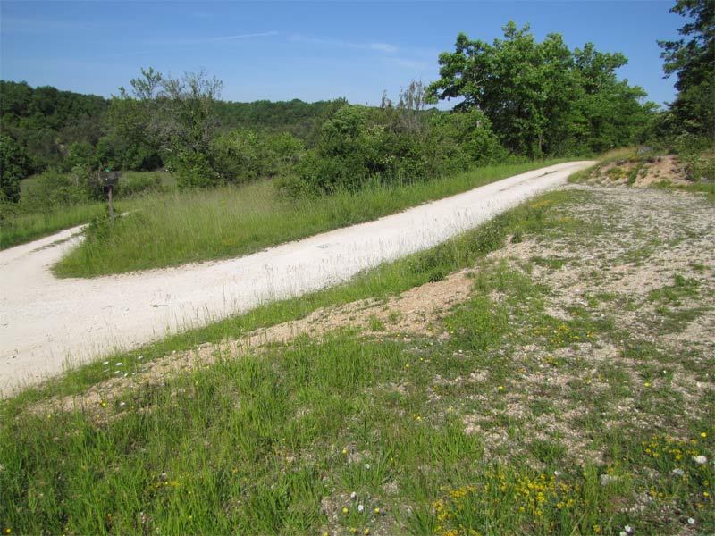 Les Pelouses sèches, Paussac-et-Saint-Vivien - photo 4