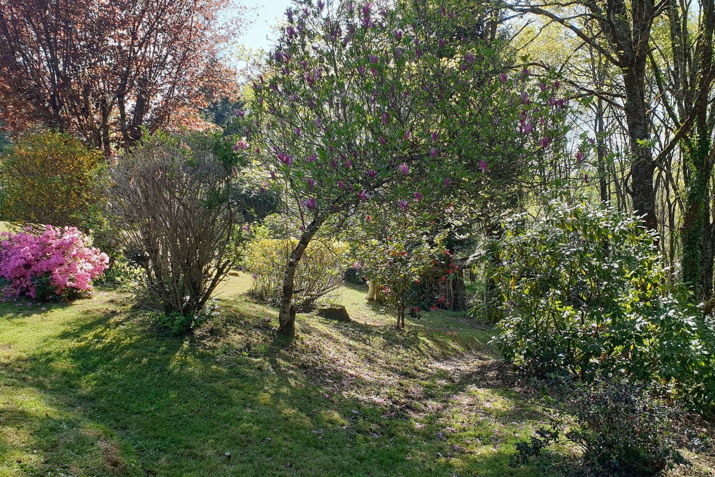 Les Maisons du Bost - La Grande Maison - photo 3