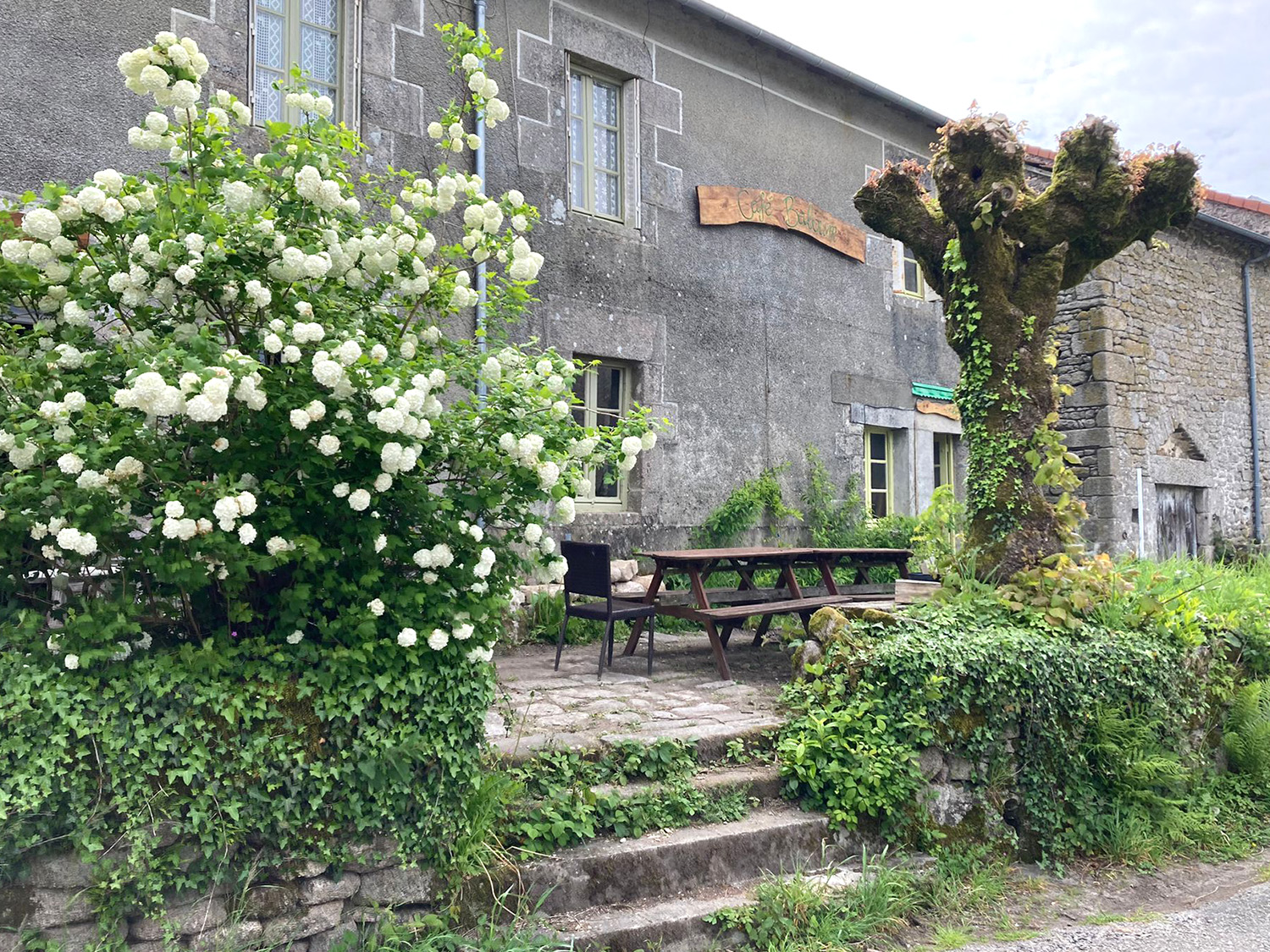 Café Baboum, produits locaux - photo 5
