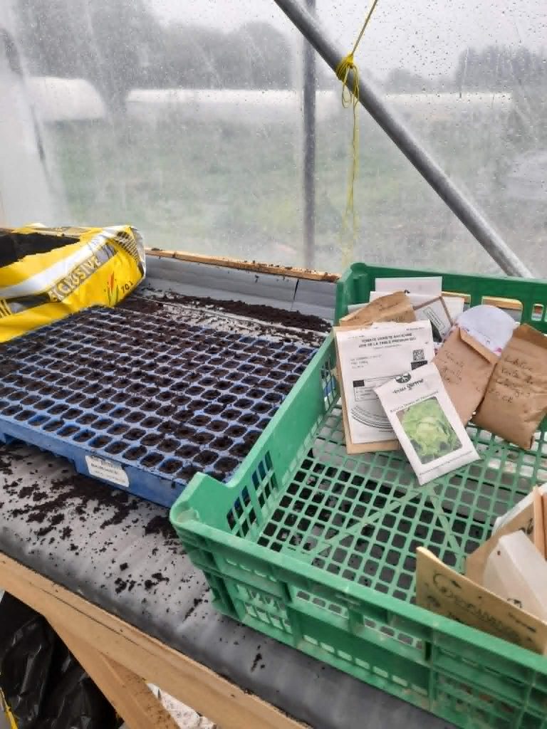 Atelier : Récolter et semer ses graines de légumes et fleurs