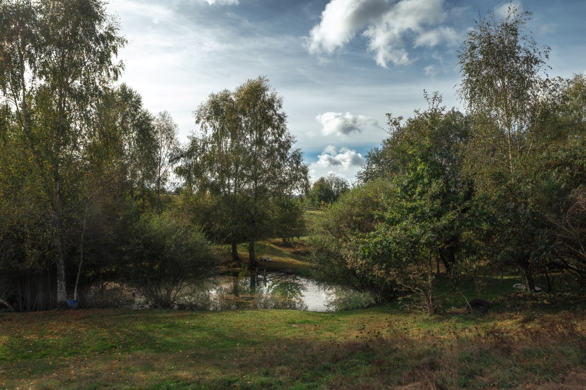 Chambres d'hôtes Domaine Abbey-Rose, Champsac - photo 7