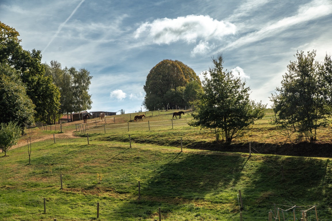 Chambres d'hôtes Domaine Abbey-Rose, Champsac - photo 6