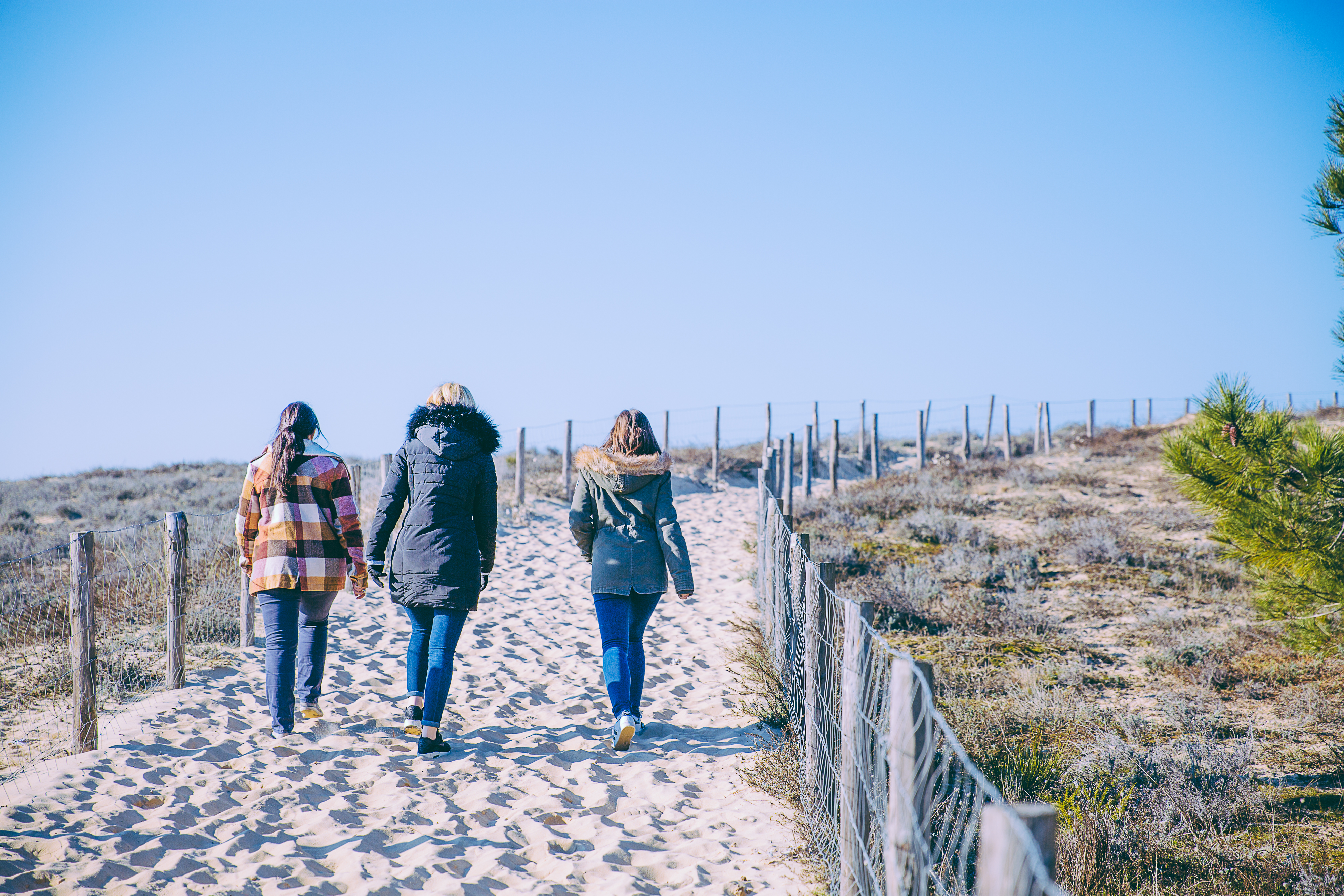 L'abécédaire des Dunes du Cap Ferret, Lège-Cap-Ferret - photo 4