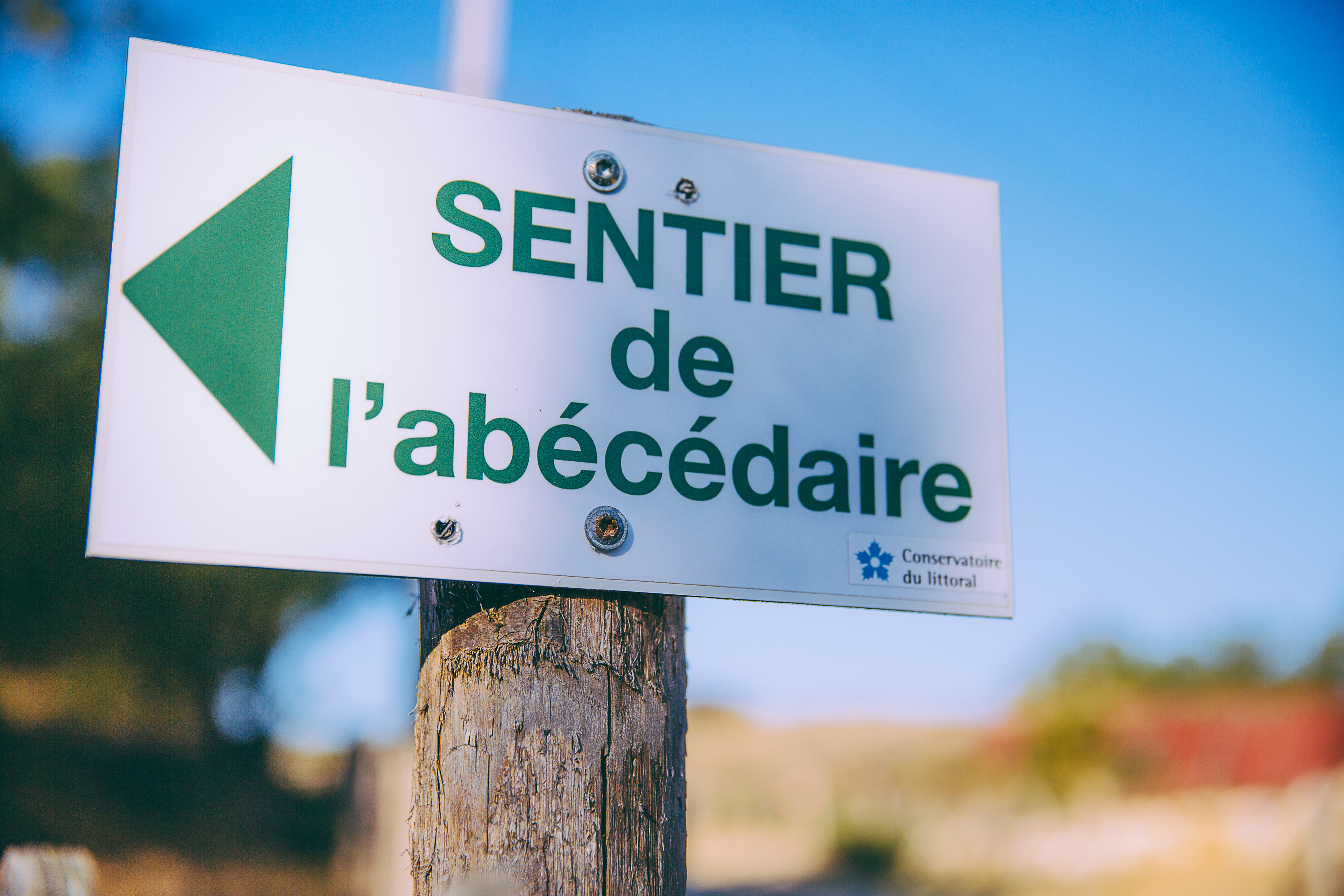 L'abécédaire des Dunes du Cap Ferret, Lège-Cap-Ferret - photo 7