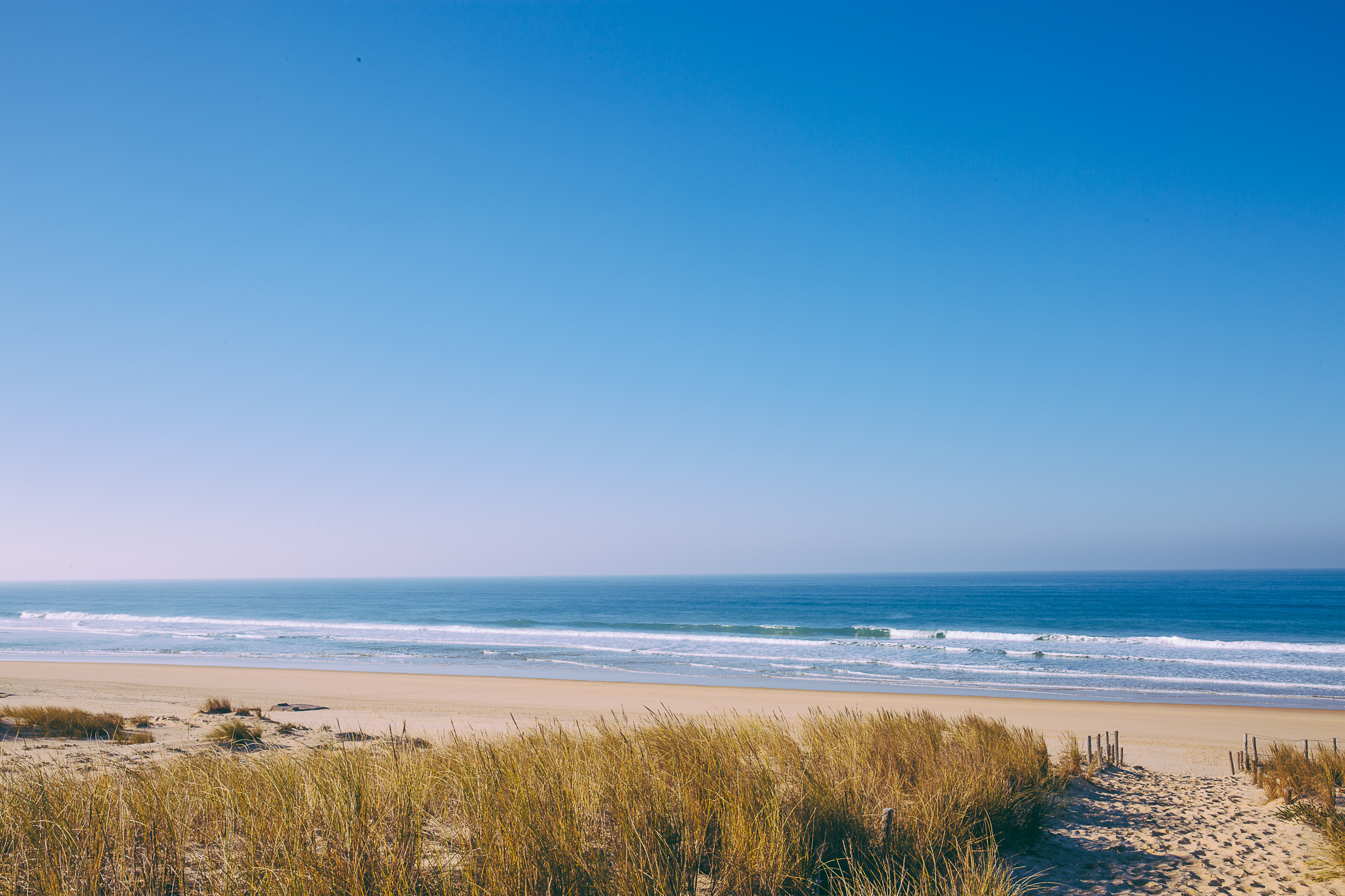 L'abécédaire des Dunes du Cap Ferret, Lège-Cap-Ferret - photo 6