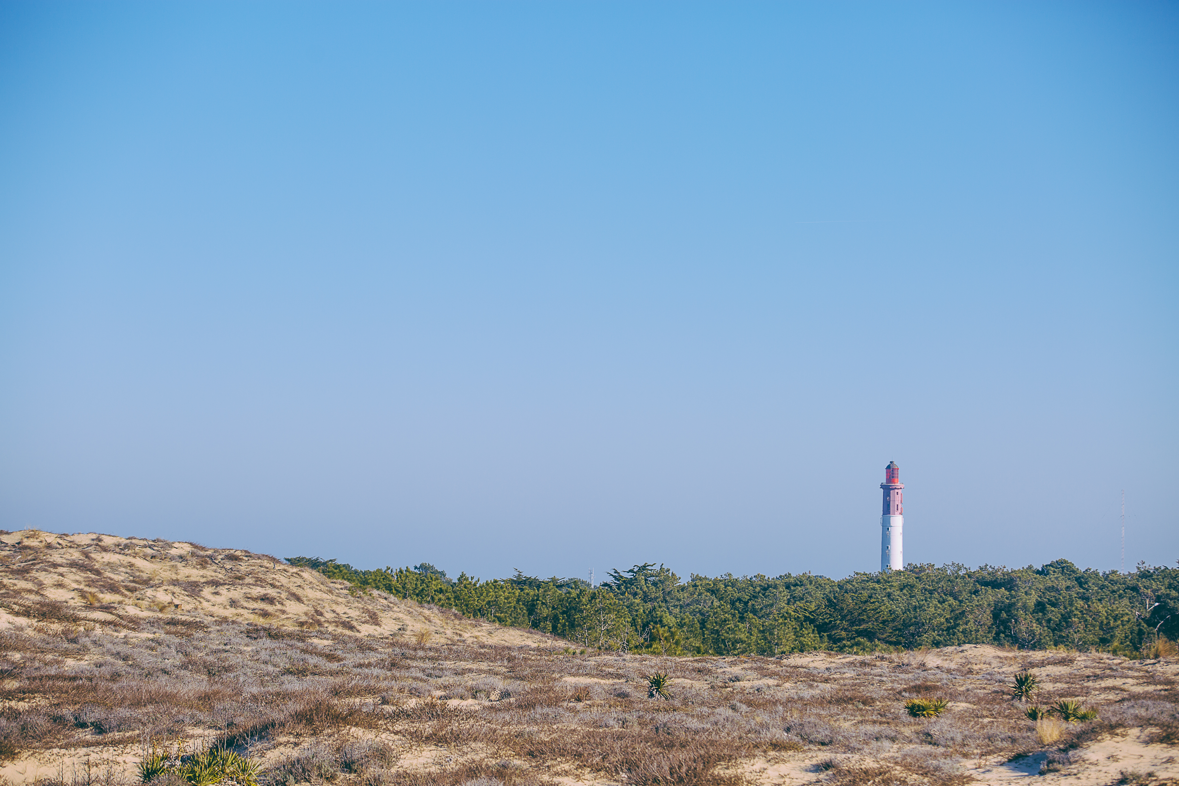 L'abécédaire des Dunes du Cap Ferret, Lège-Cap-Ferret - photo 9