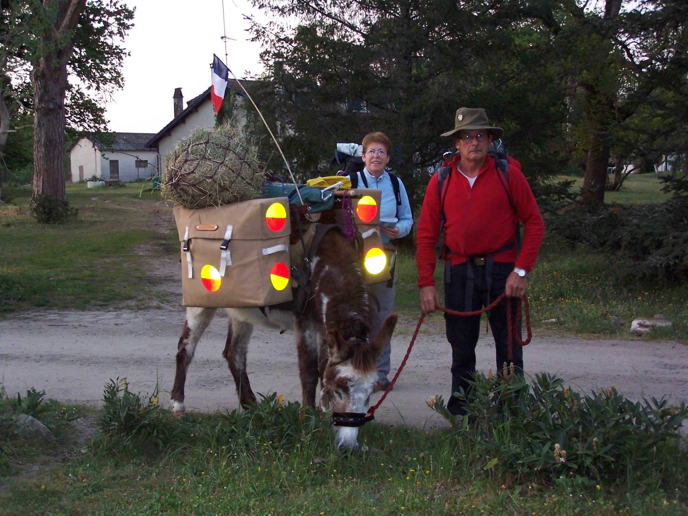 Ânes bâtés Taristourisme